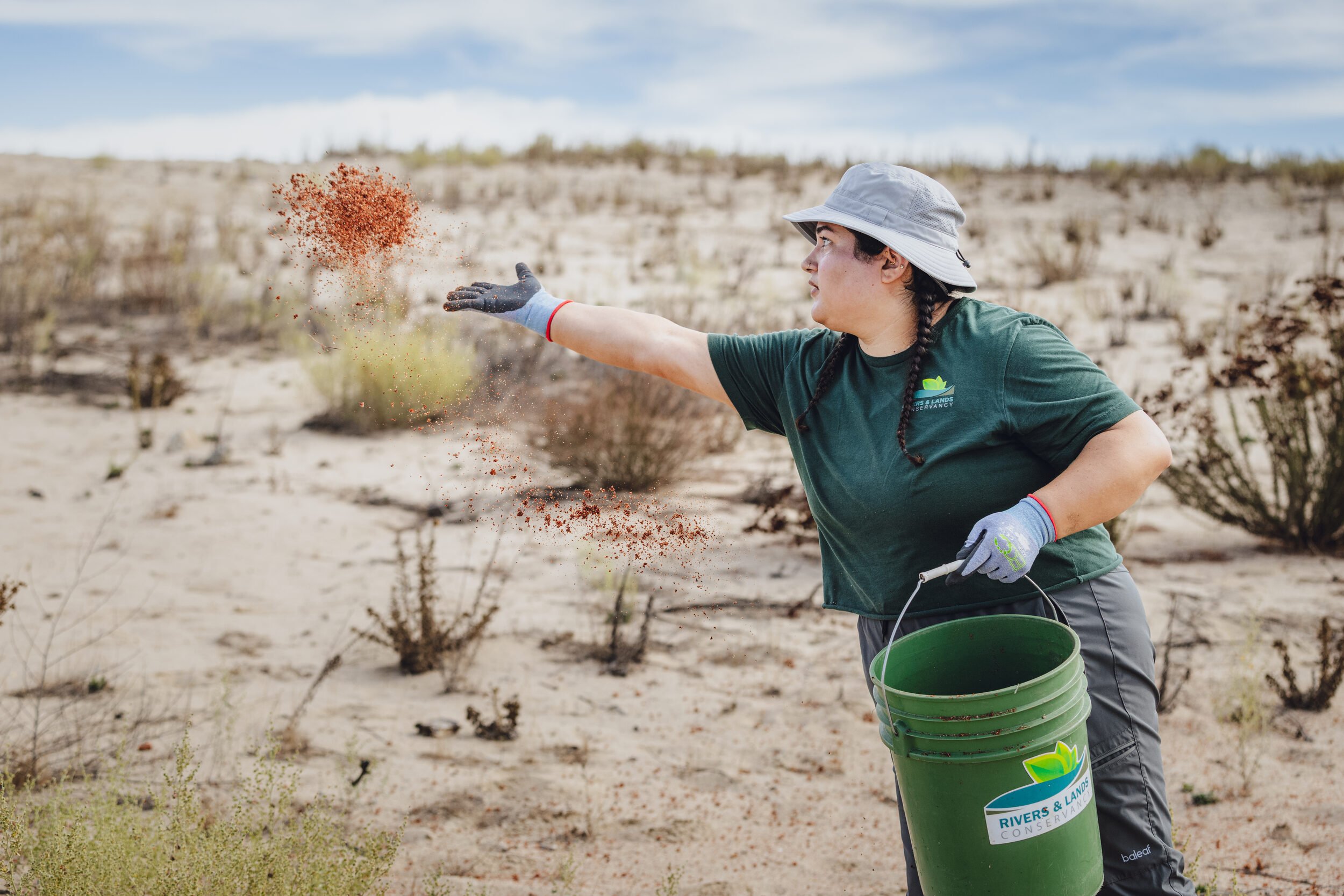 Angie Leon, community programs and fundraising assistant at Rivers and Lands Conservancy, spreads California buckwheat seed in Colton, CA. October 25, 2025.