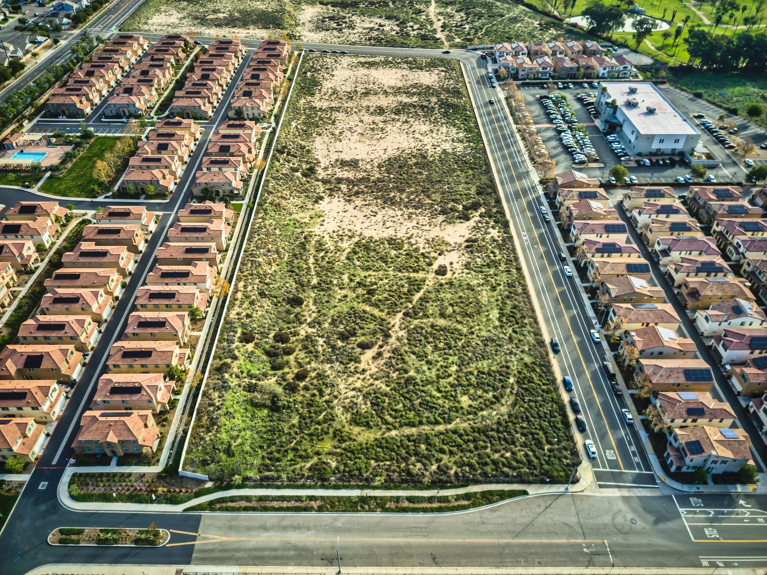 A small piece of Delhi Sands flower-loving fly habitat, surrounded by houses and businesses in Colton, CA. Roughly 2 to 3 percent of the historic dune system remains today.