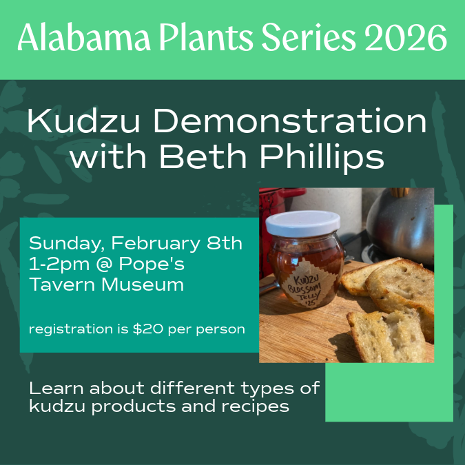 Kudzu Demo with Beth Phillips