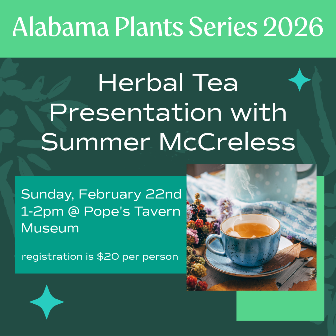 Herbal Tea with Summer McCreless