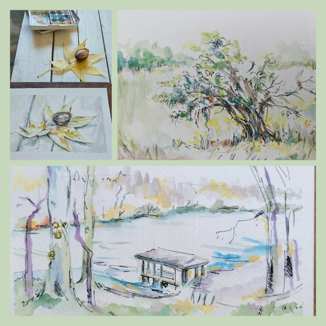 KD Art Lab: Nature Journaling