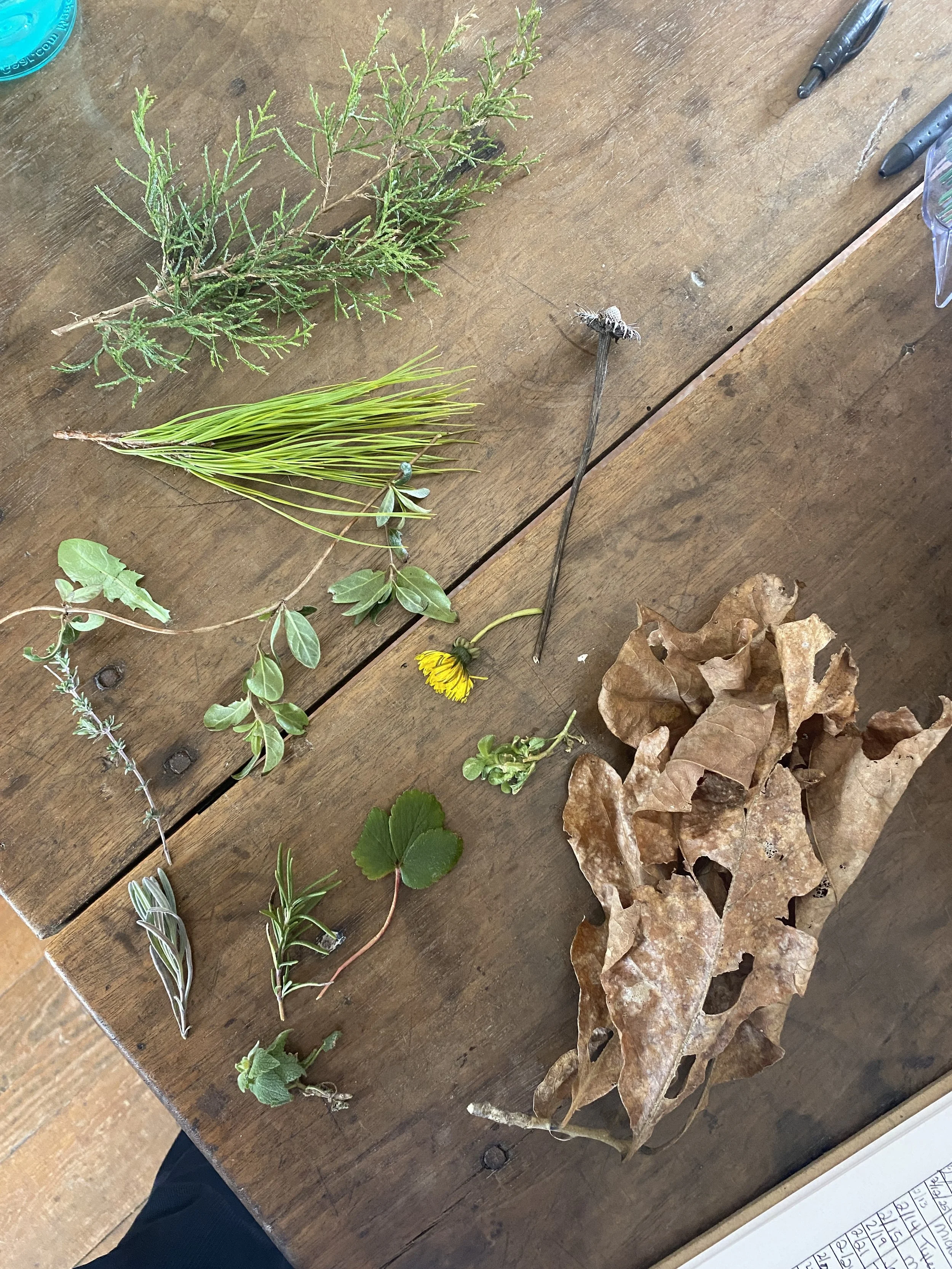 PT Herbal Workshop 6.JPG