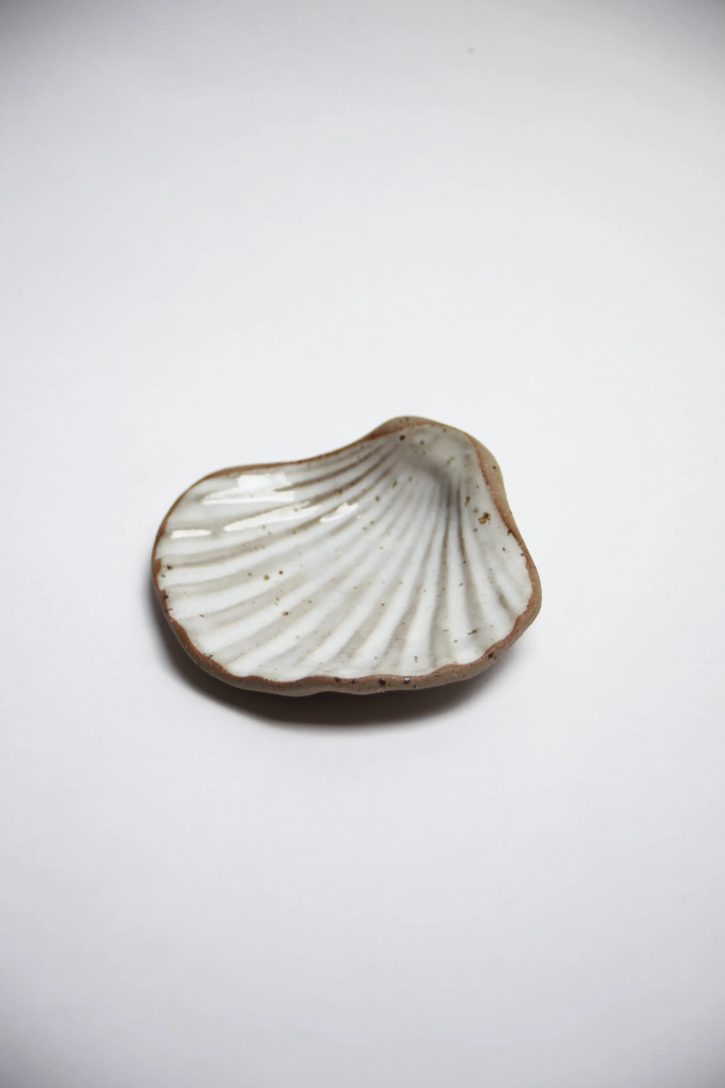 NEW IN: Shell Dish