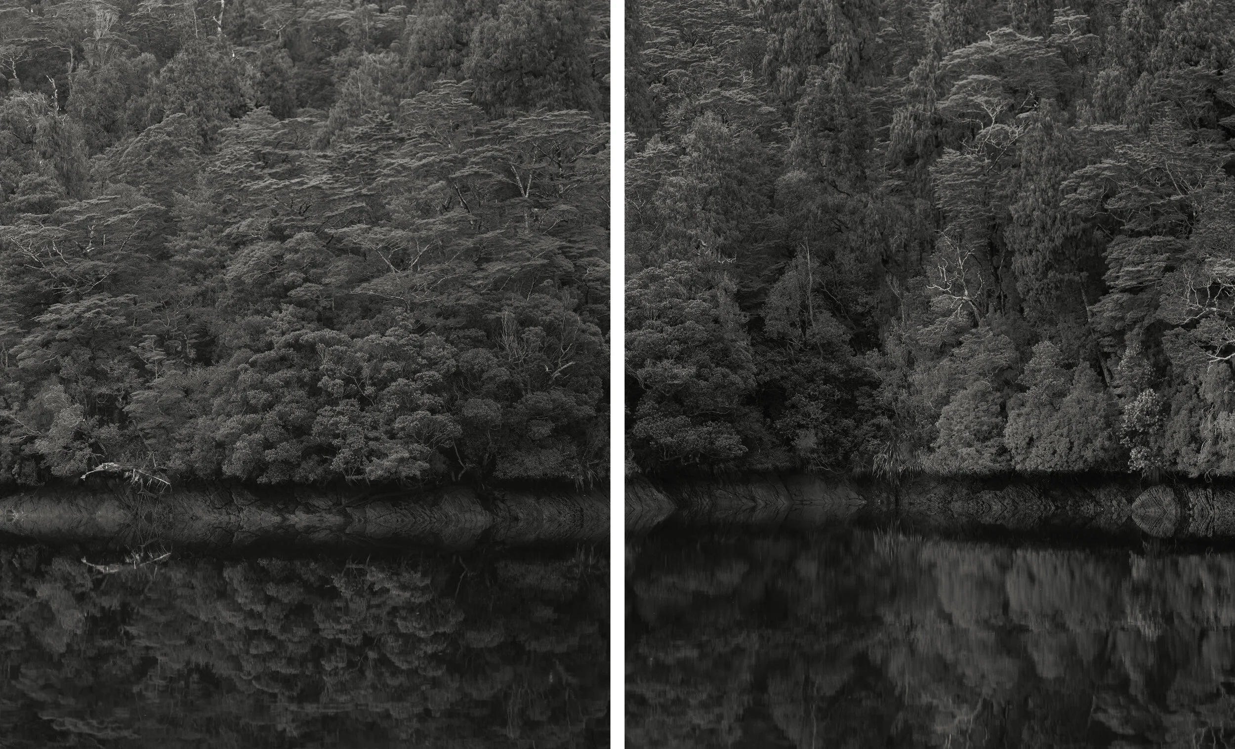 Fiordland Diptych.jpg
