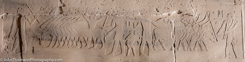 Saqqara-13-Web Site-2.jpg