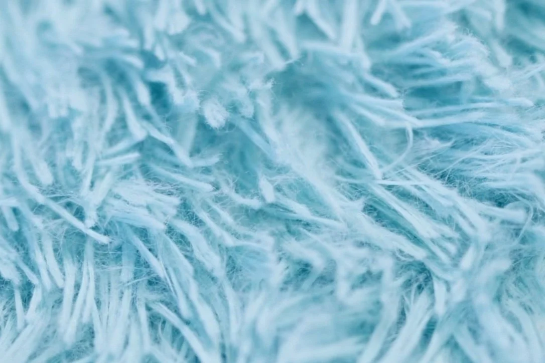 Everything You Need to Know About Wool Rugs Flacks Flooring