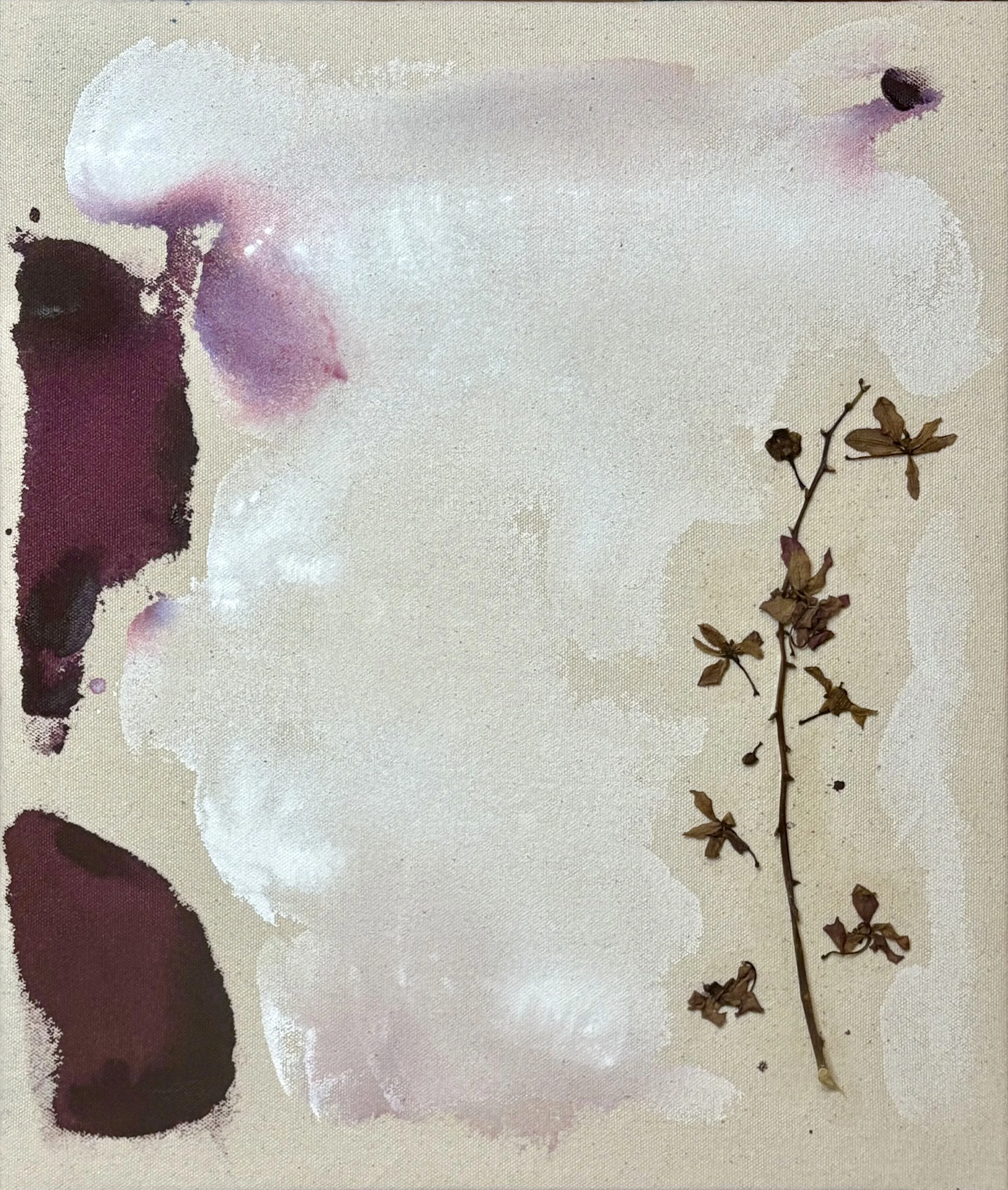 Plum. Acrylic on Recycled Raw Canvas with pressed flowers. Winter 2025