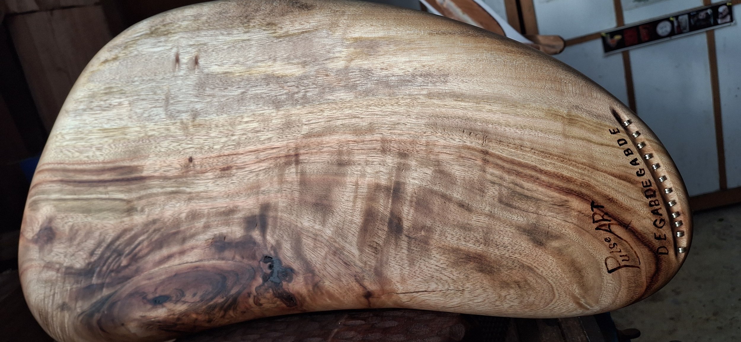 2026 06 01 - 🌿 Dreamleaf – Camphor Laurel - left hand - back.jpg