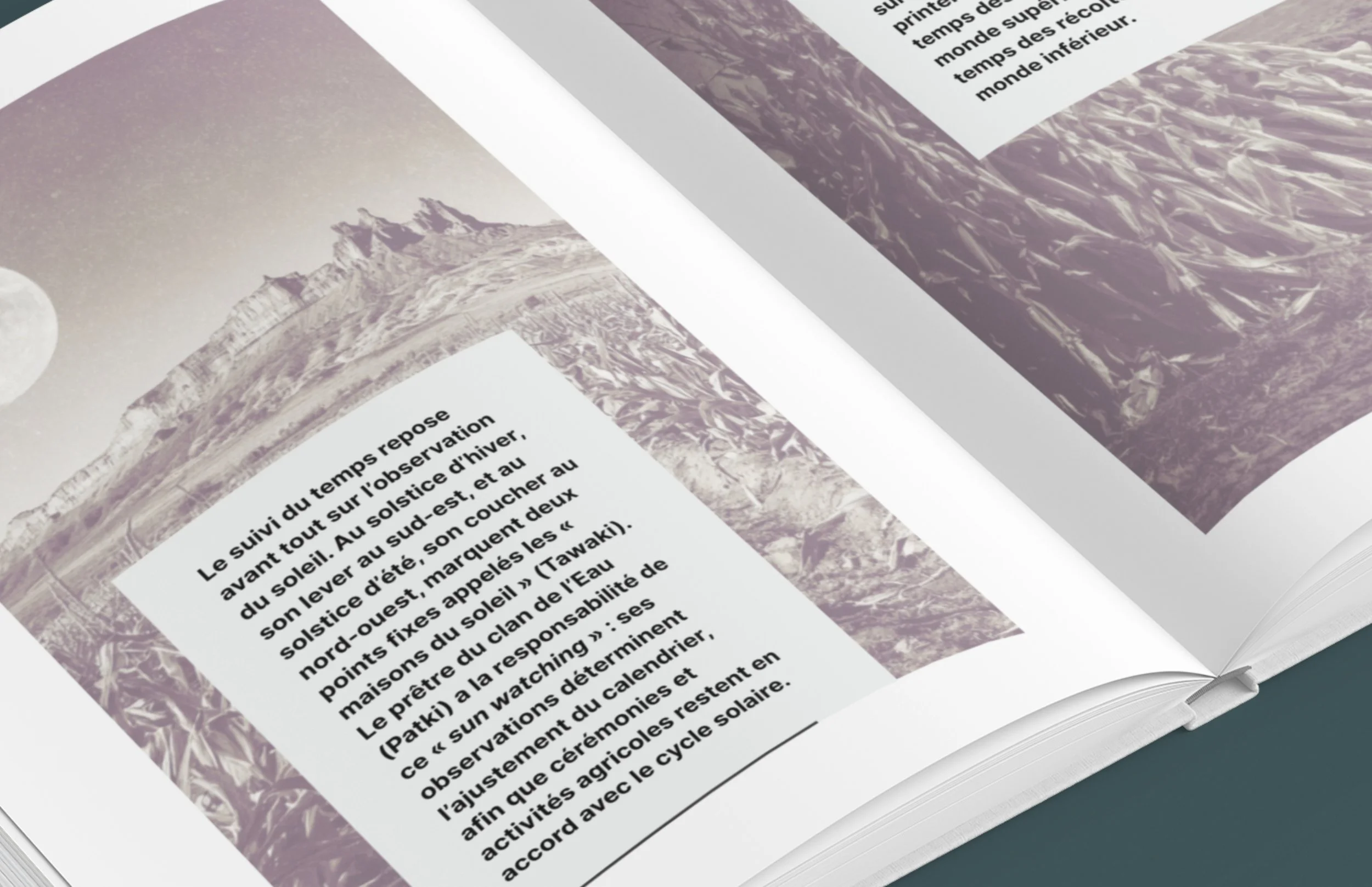 1.NOUVEAU  vrai EN ibetan garden AMZ (13).jpg