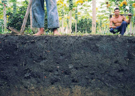 Photos d'une coupure de sol où deux personnes sont visibles, une avec des pantalons longs et une autre assise à côté, dans un environnement naturel avec des arbres.