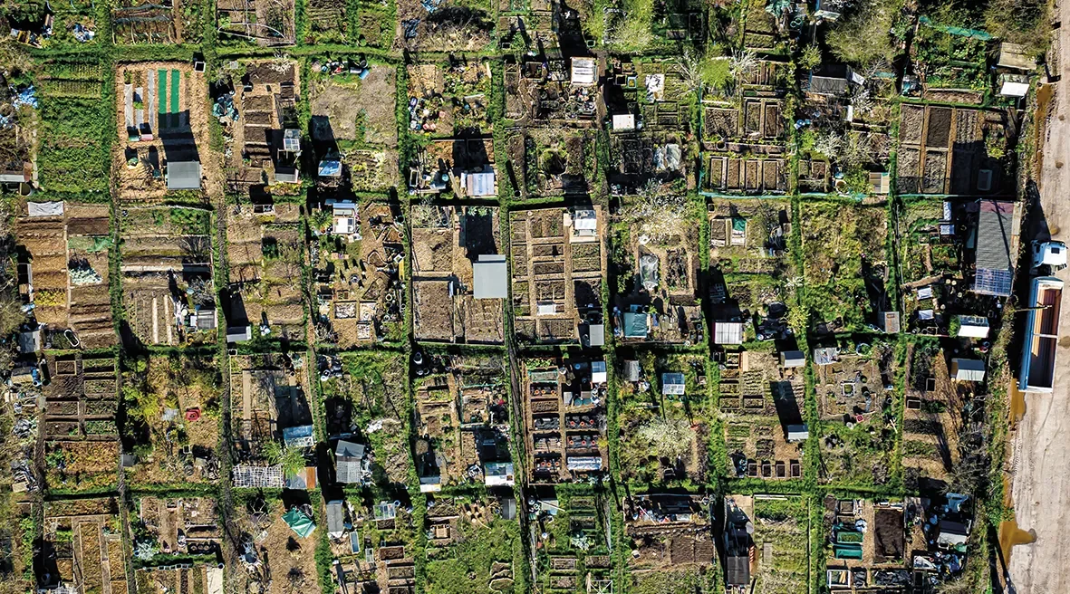 De la France à la Scandinavie, la grande tradition européenne des jardins partagés