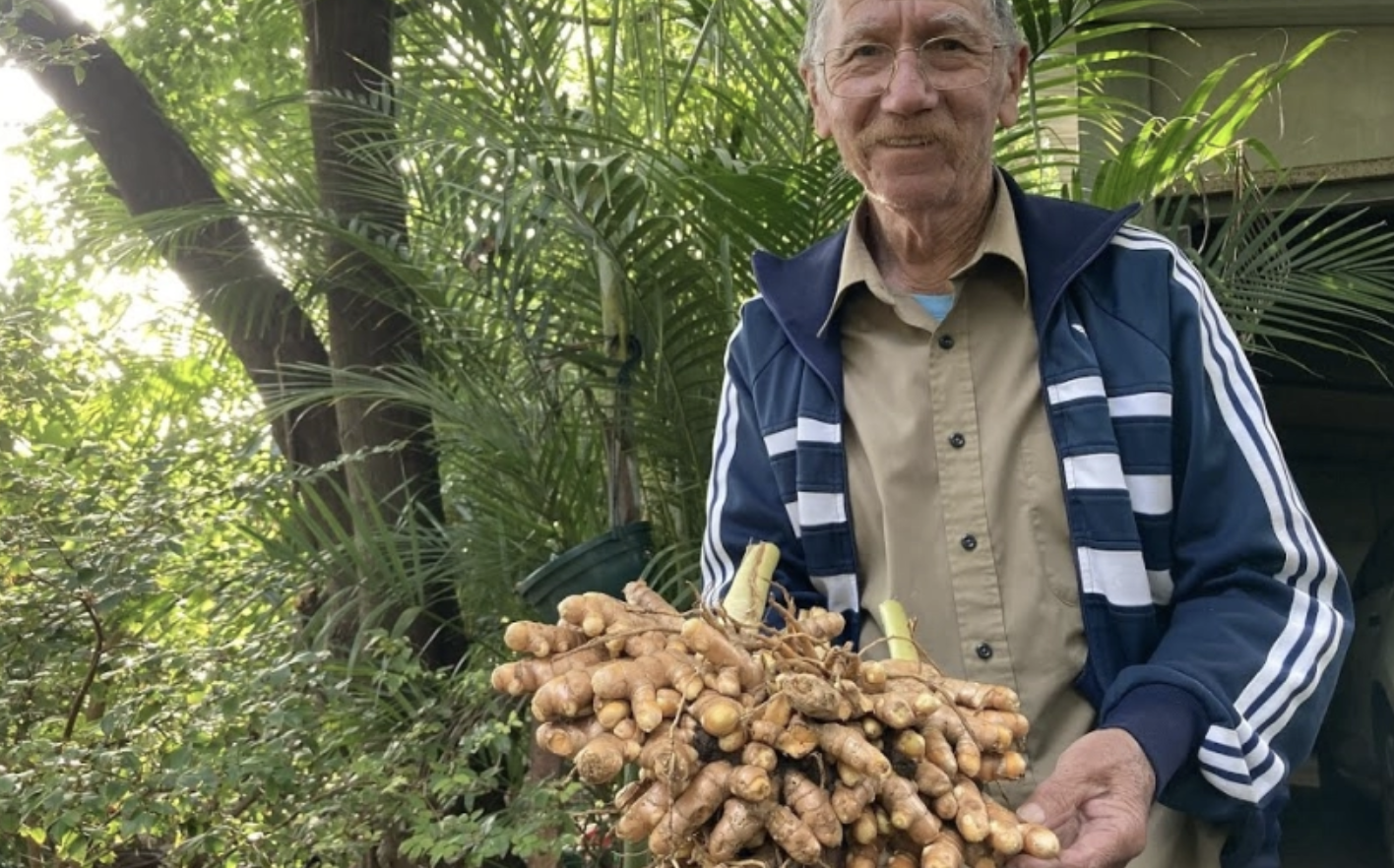 Le safran noir, nouvelle frontière de l'agriculture tropicale