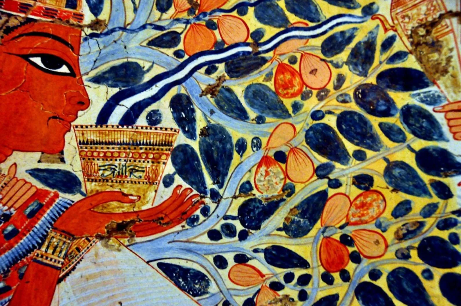 Figuier, olivier, dattier : trois arbres pour habiter la Méditerranée