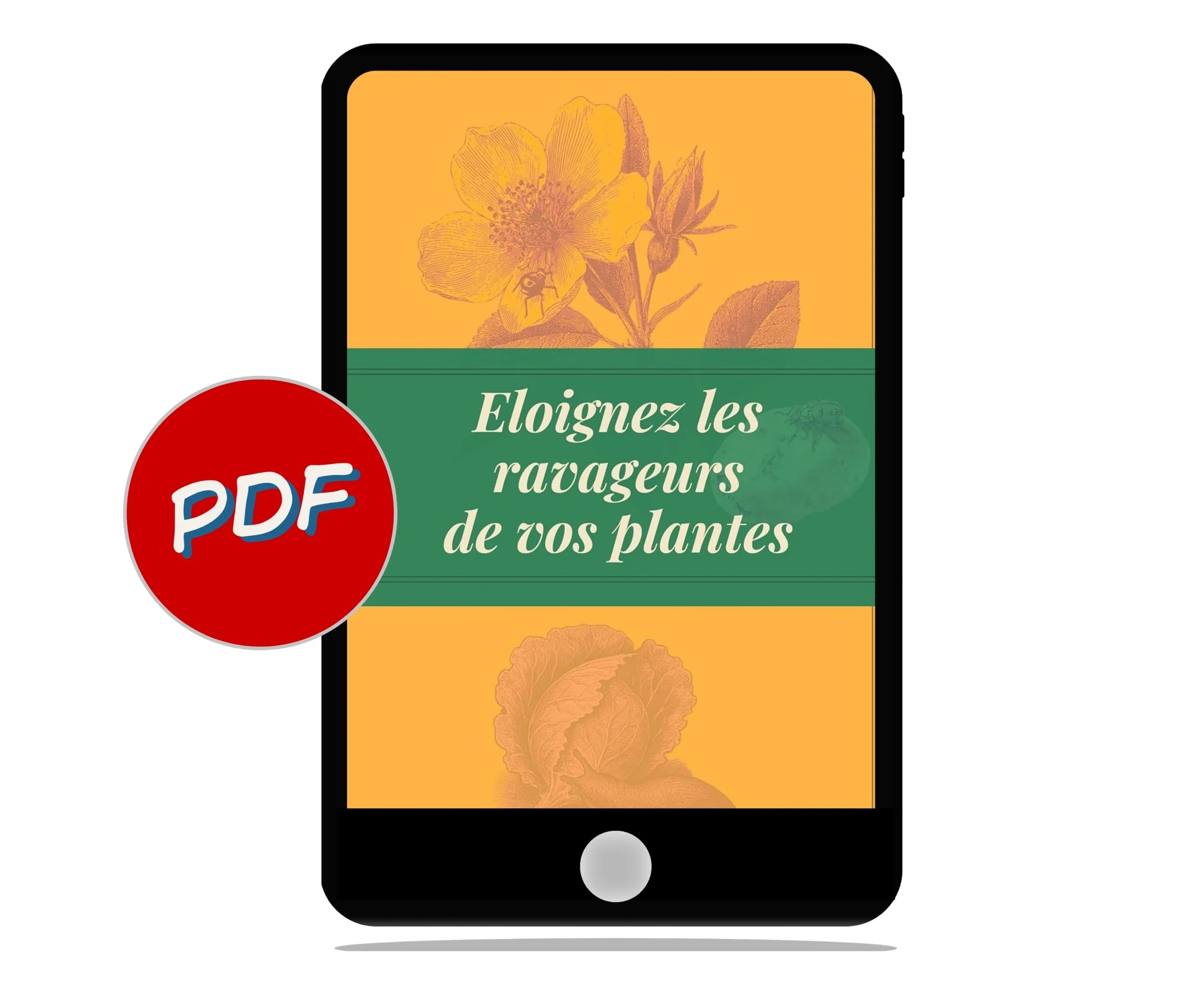 pdf (13).jpg