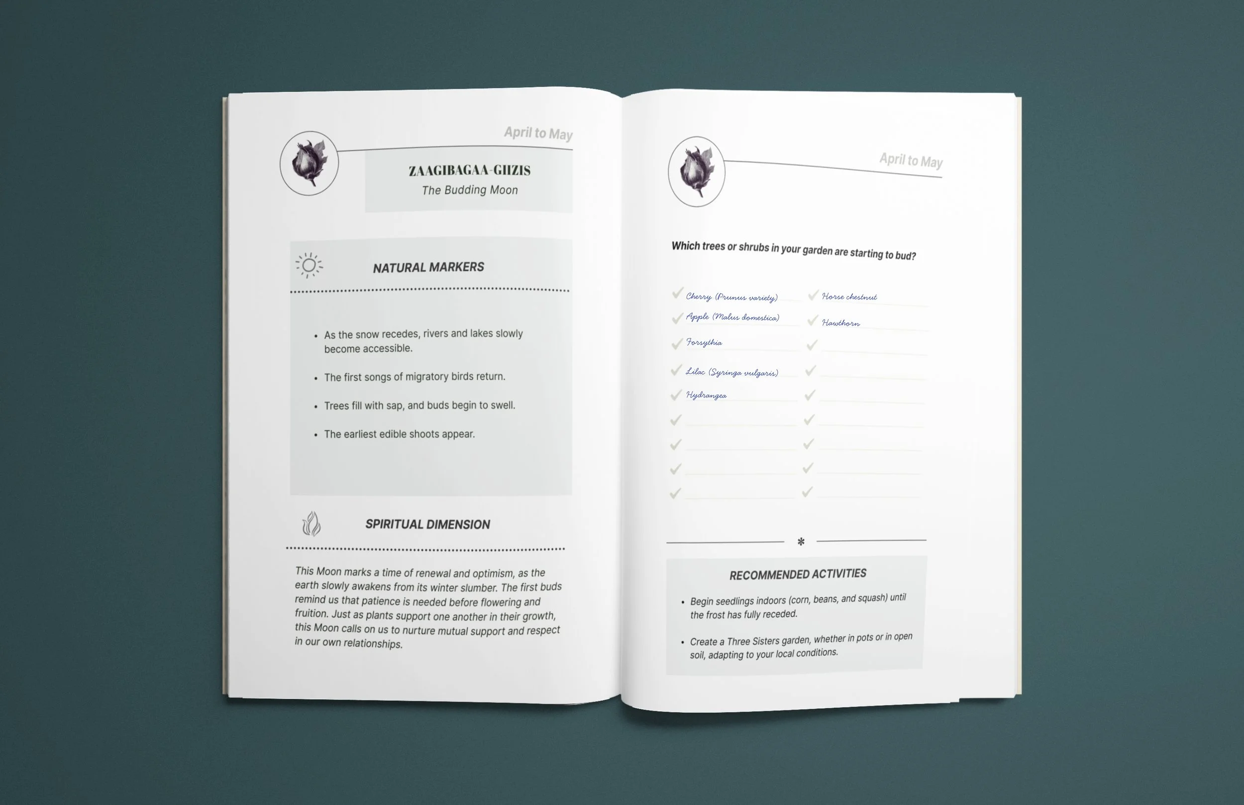 1.NOUVEAU  vrai EN ibetan garden AMZ (12).jpg