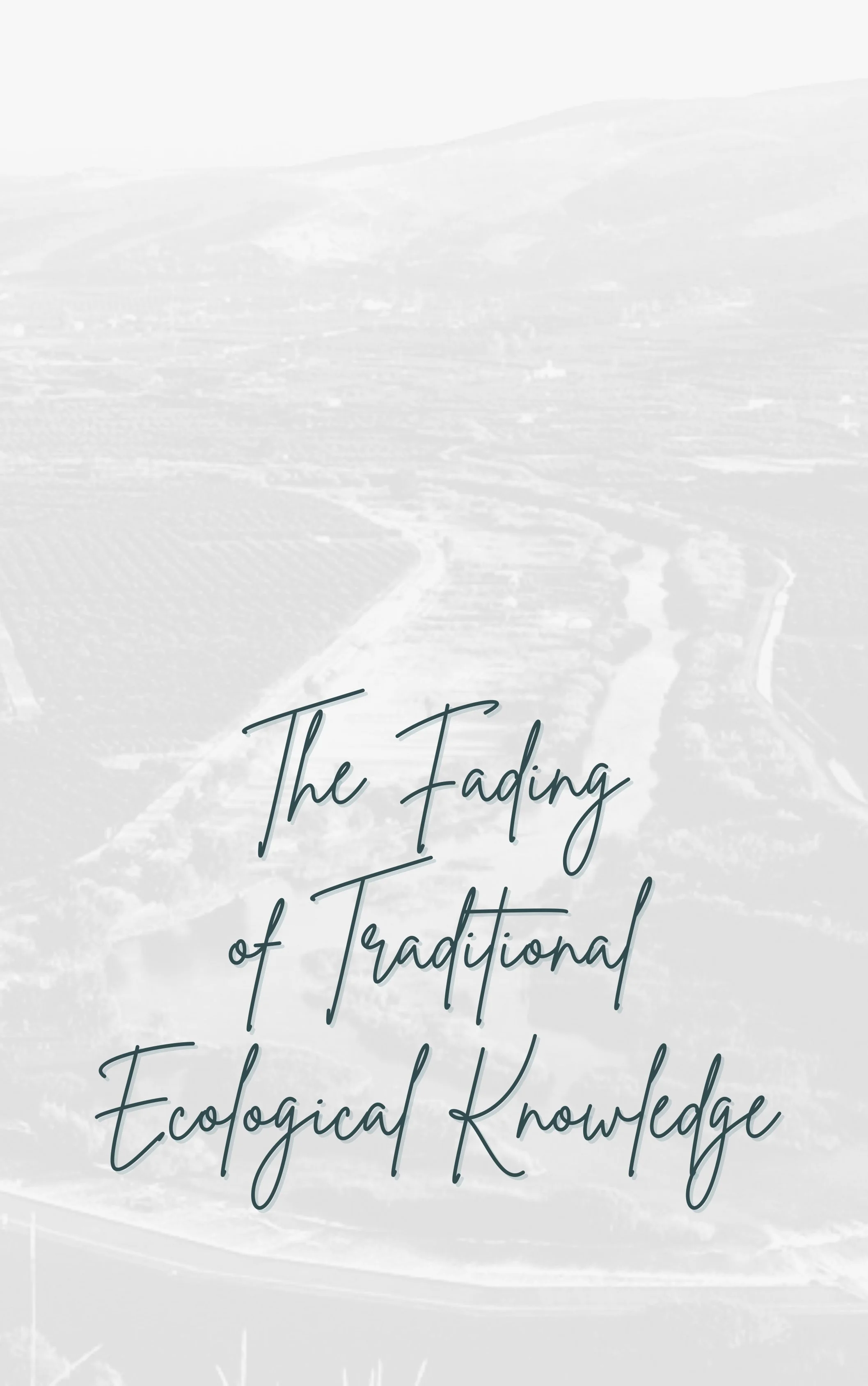 TITRE FRANCAIS (11).jpg