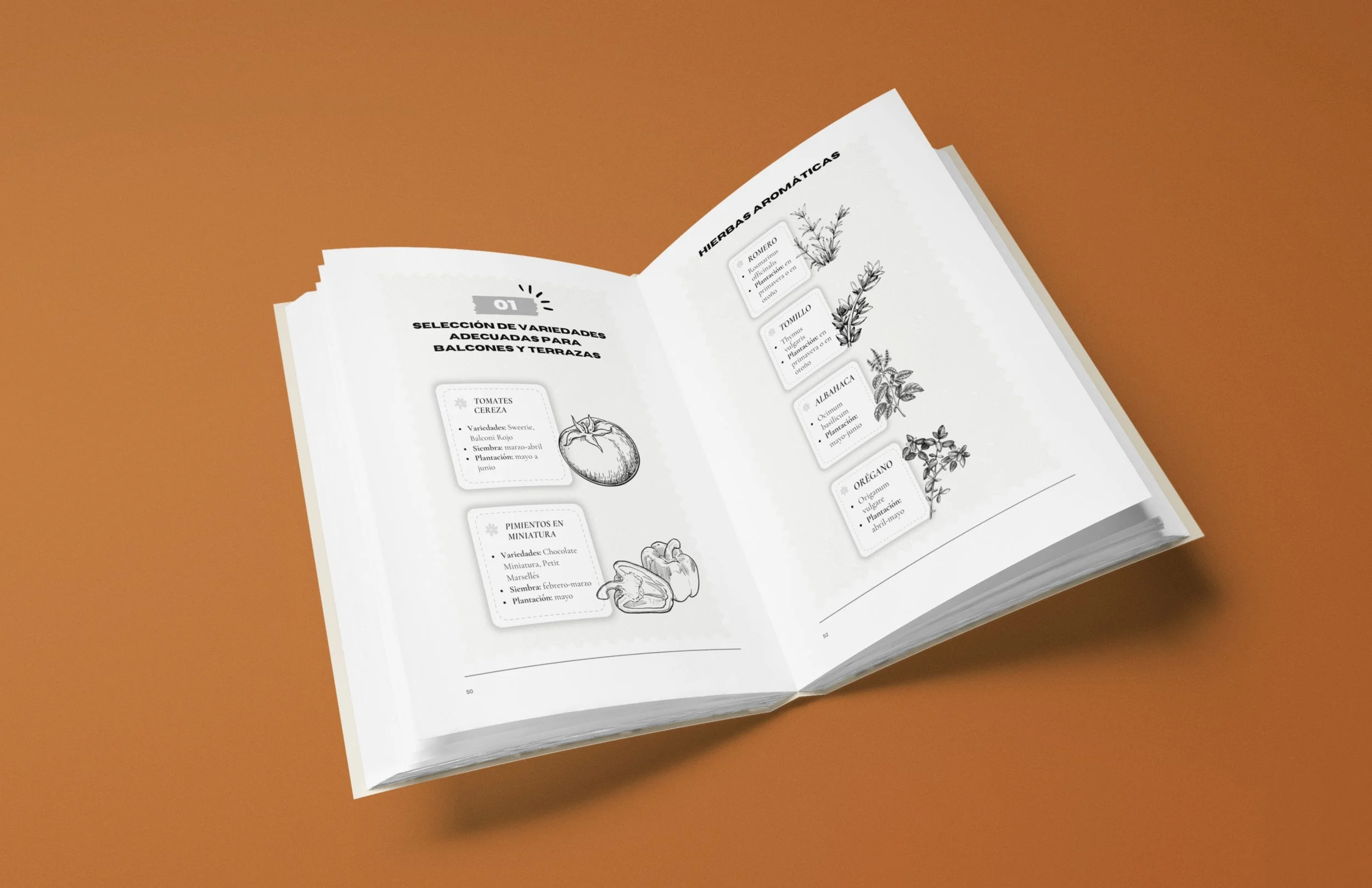 1.NOUVEAU  vrai EN ibetan garden AMZ (24).jpg