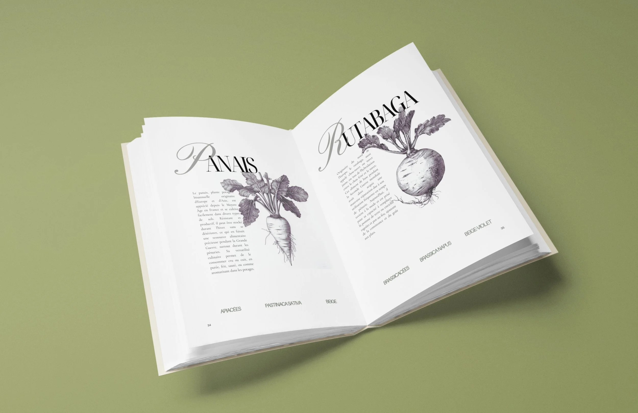 1.NOUVEAU  vrai EN ibetan garden AMZ (5).jpg