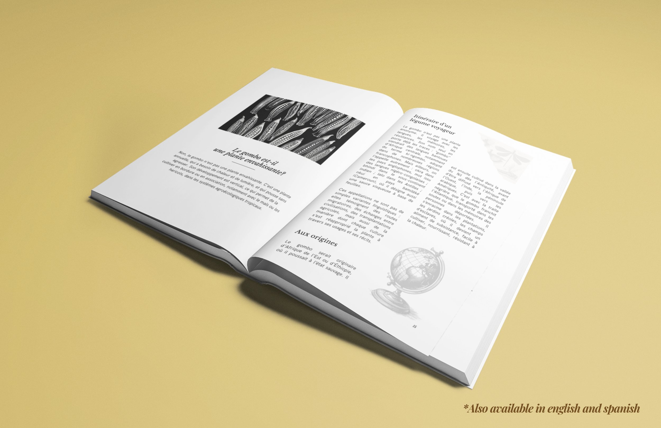 1.NOUVEAU  vrai EN ibetan garden AMZ (18).jpg