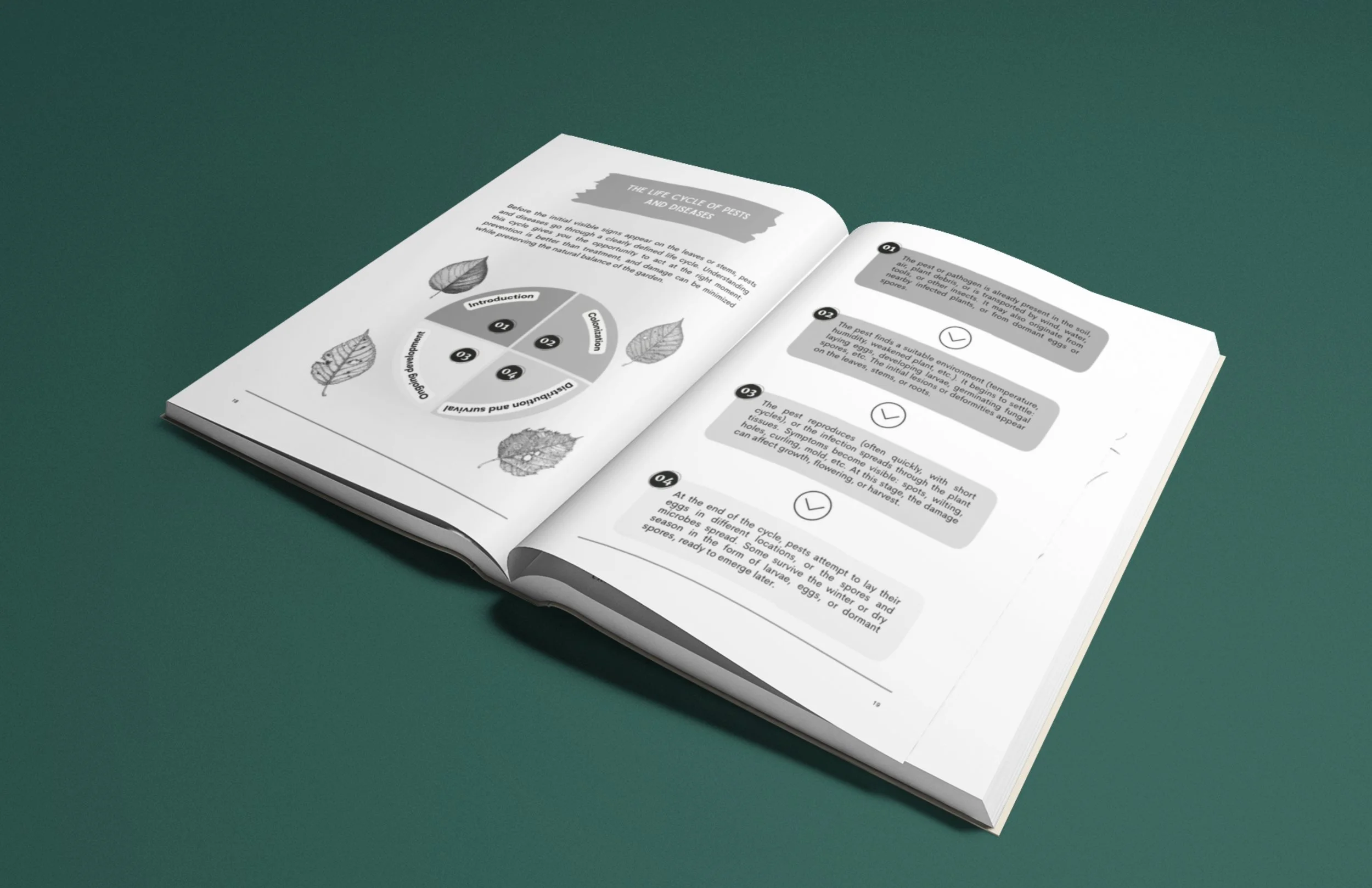 1.NOUVEAU  vrai EN ibetan garden AMZ (15).jpg