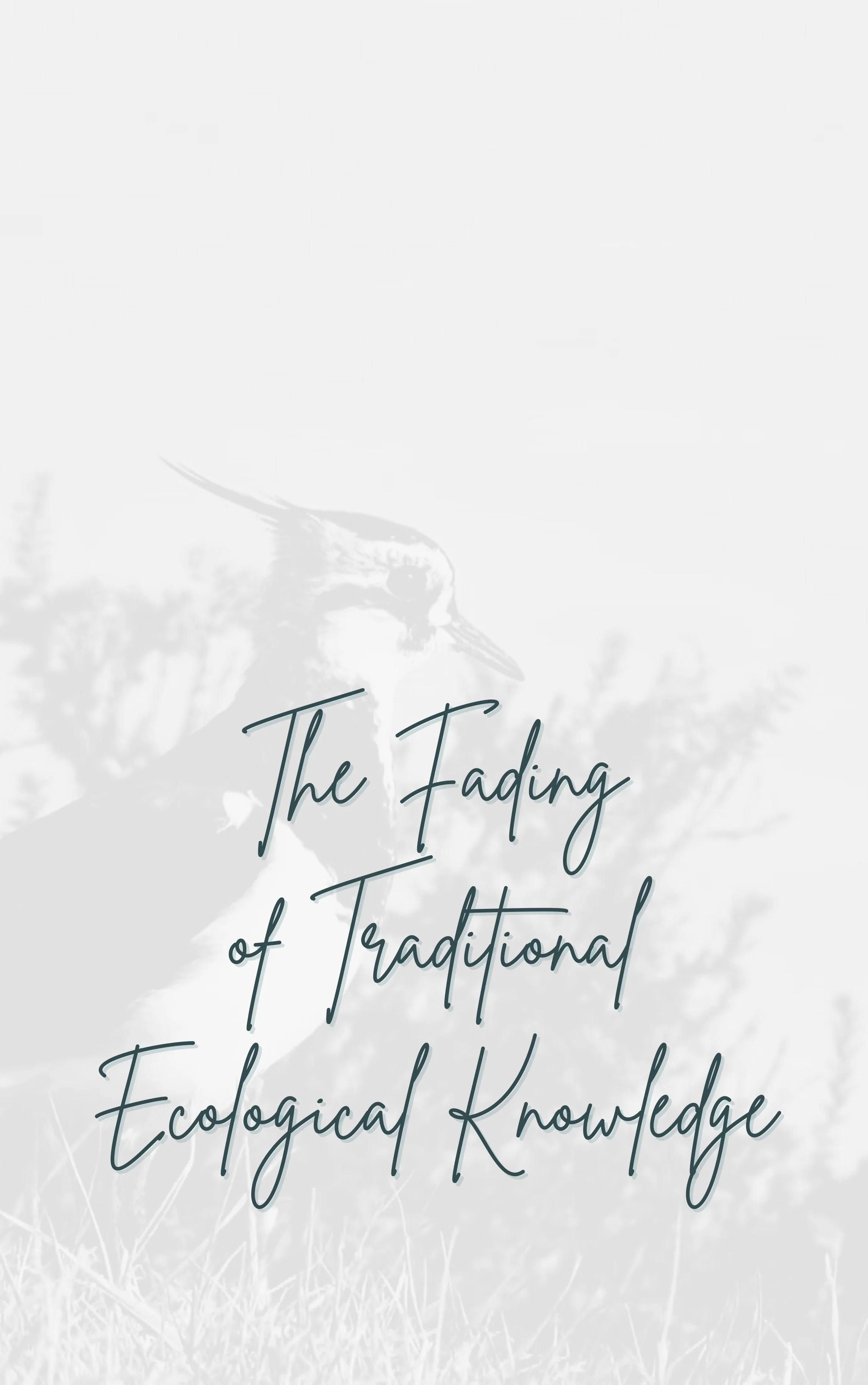 TITRE FRANCAIS (12).jpg