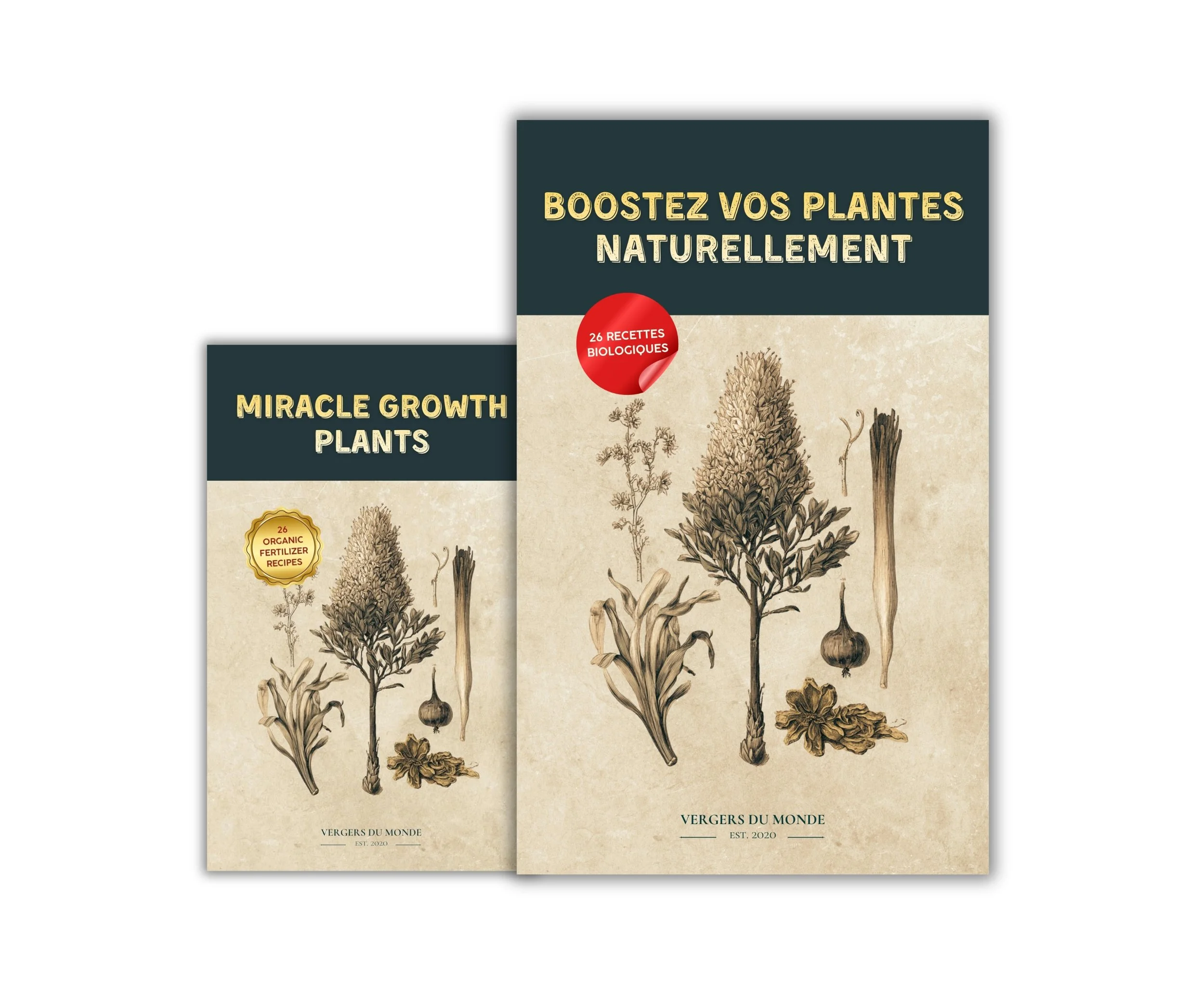 Boostez vos plantes naturellement