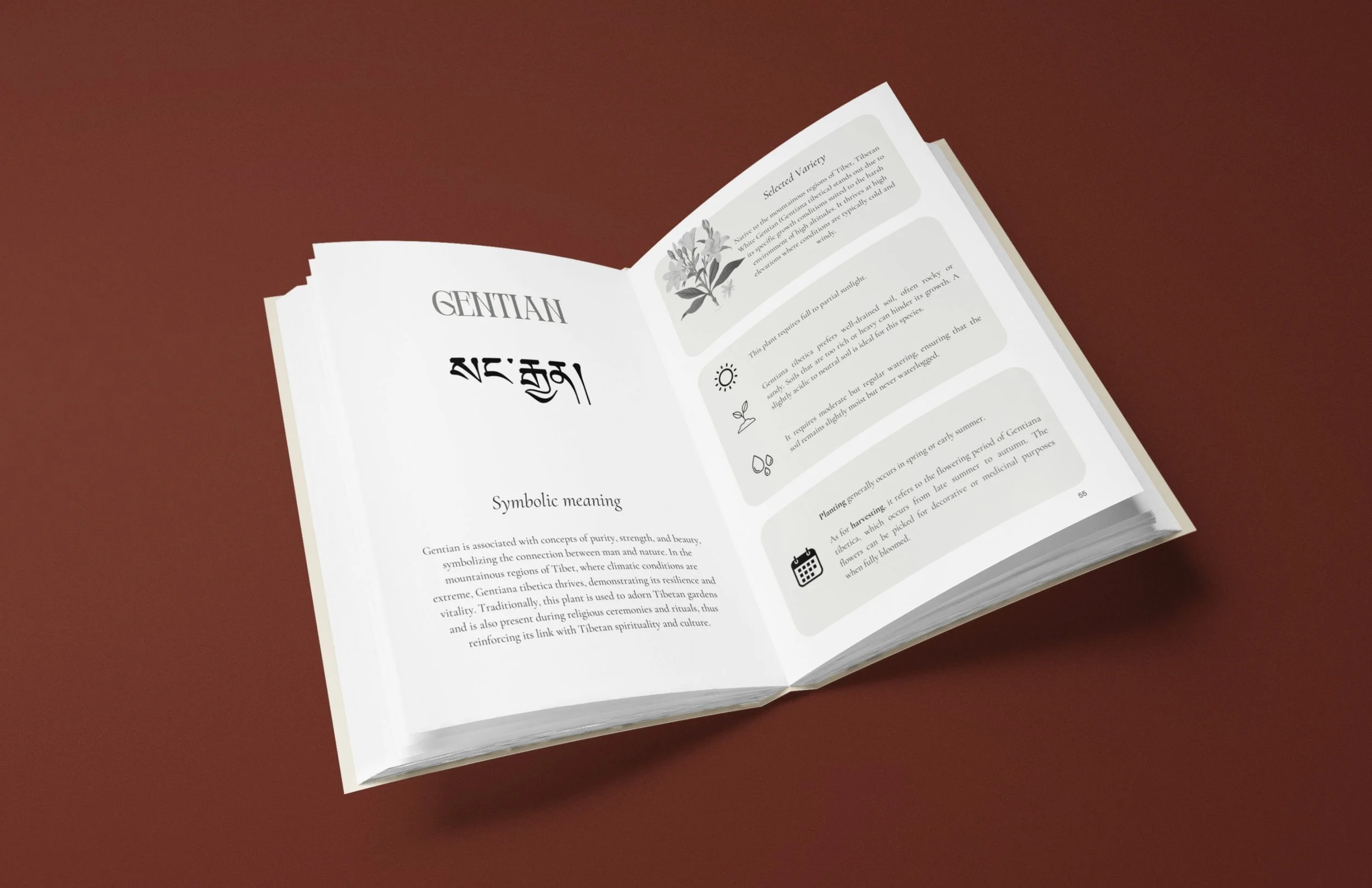 1.NOUVEAU  vrai EN ibetan garden AMZ (26).jpg