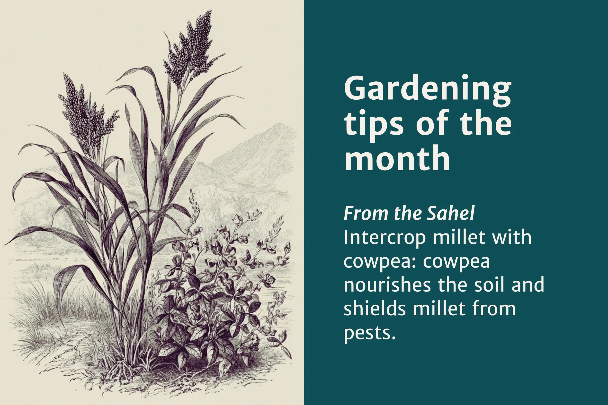 2EN Photos vidéo newsletter (3).jpg