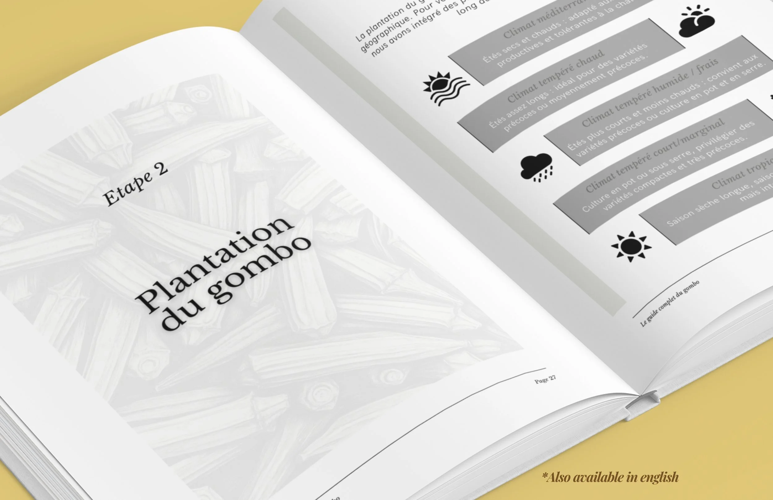 1.NOUVEAU  vrai EN ibetan garden AMZ (19).jpg