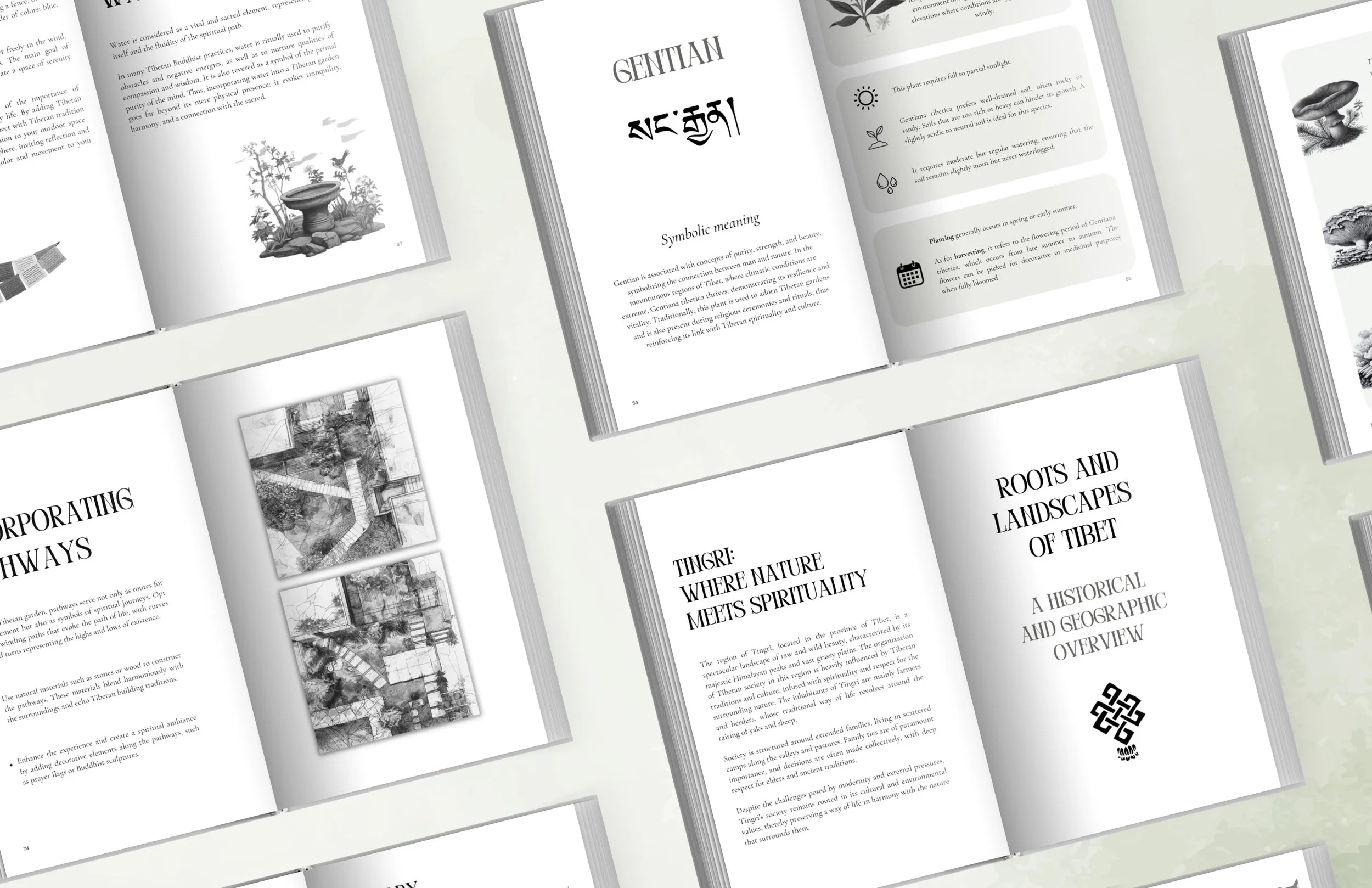 1.NOUVEAU  vrai EN ibetan garden AMZ (27).jpg