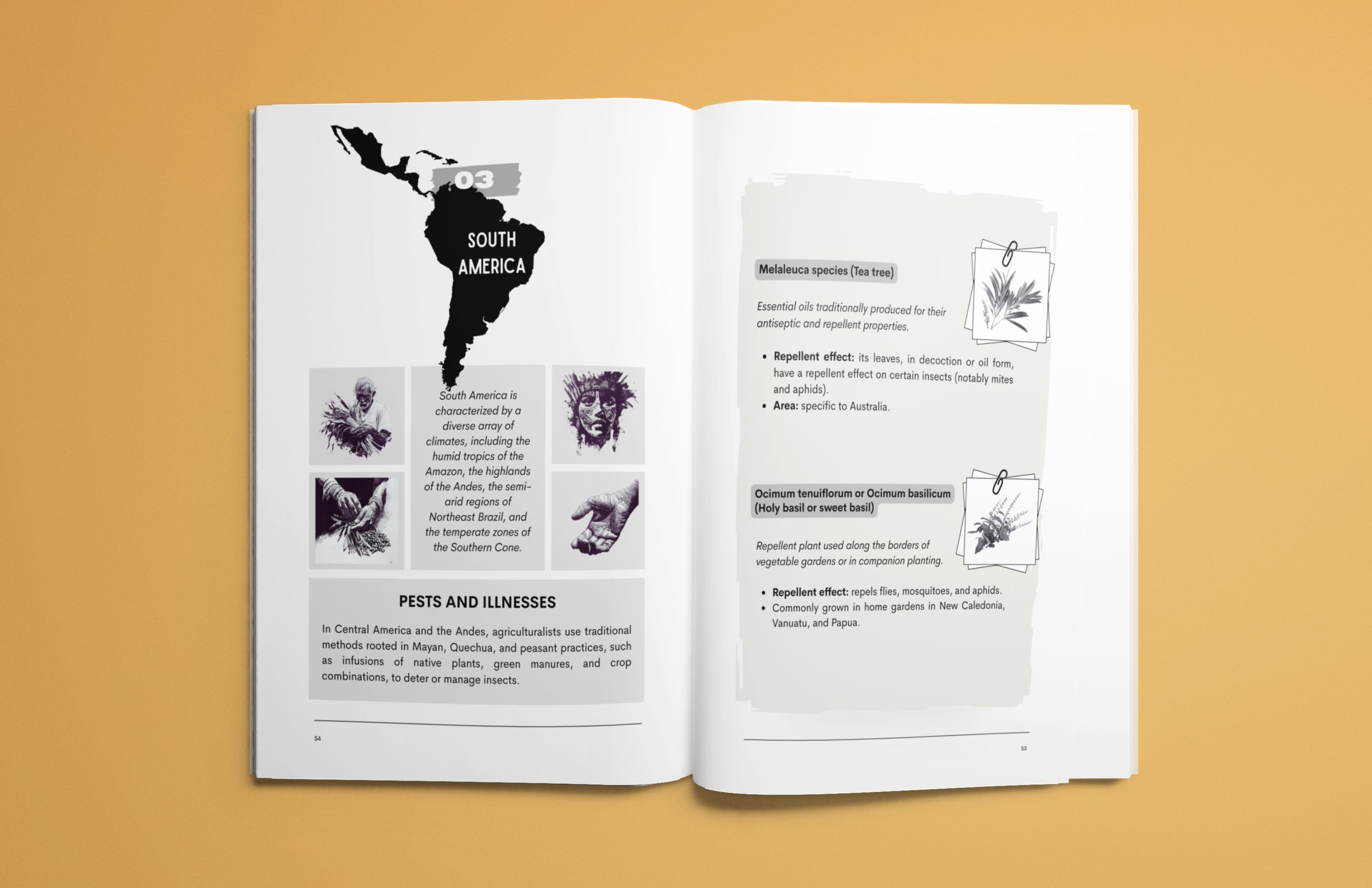 1.NOUVEAU  vrai EN ibetan garden AMZ (8).jpg