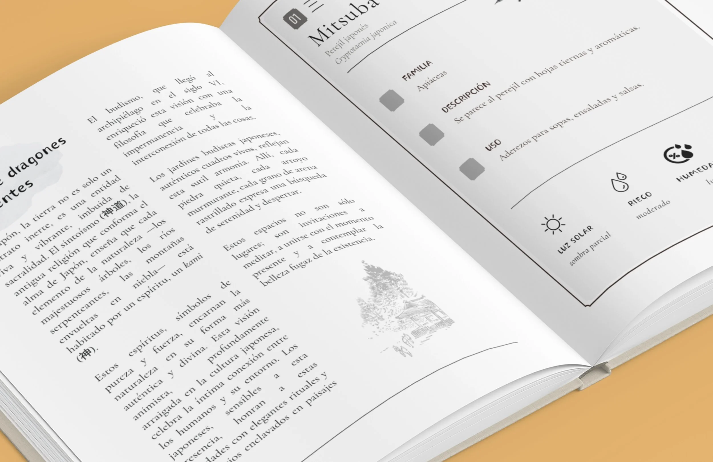 1.NOUVEAU  vrai EN ibetan garden AMZ (16).jpg