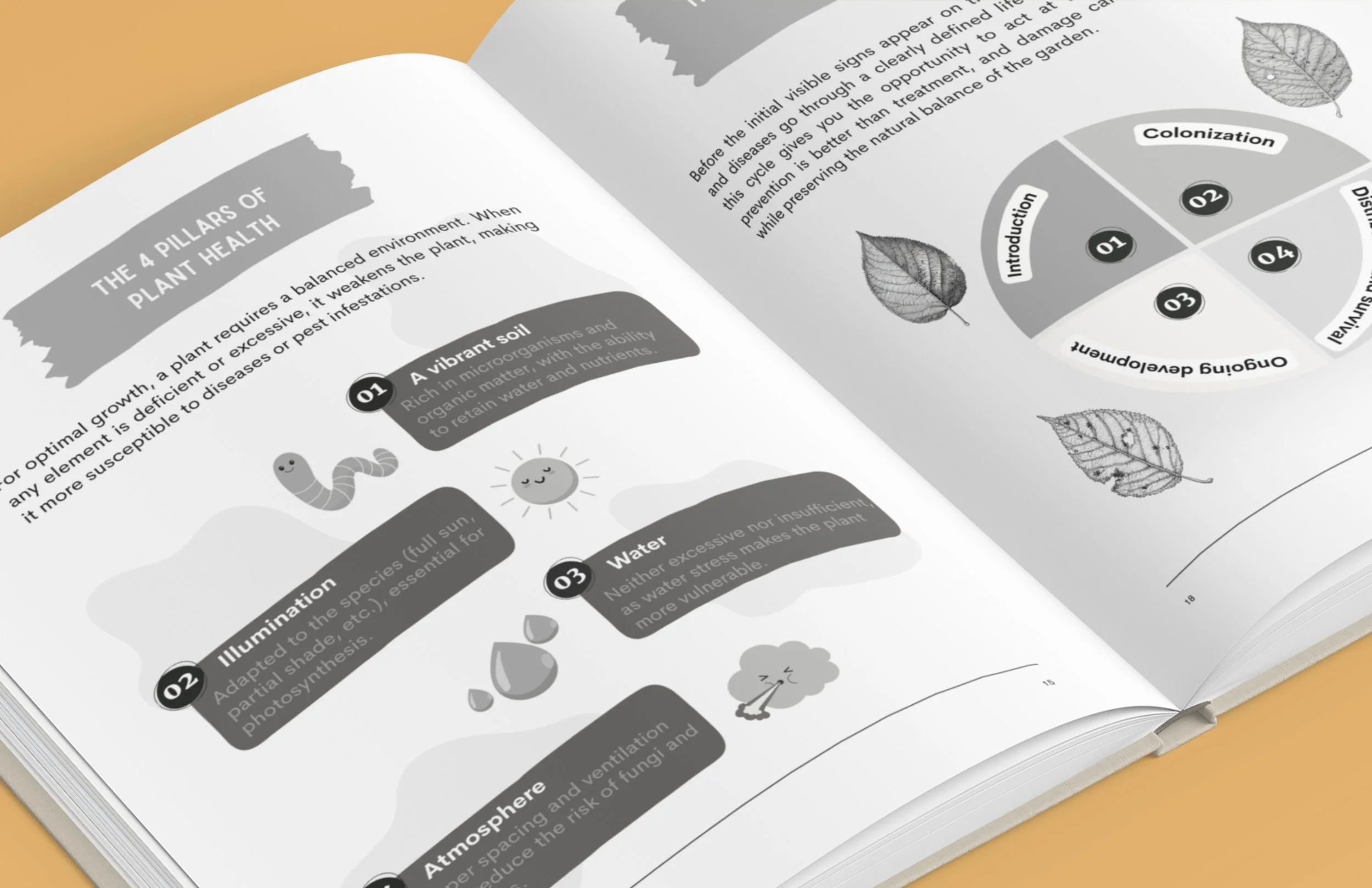 1.NOUVEAU  vrai EN ibetan garden AMZ (9).jpg