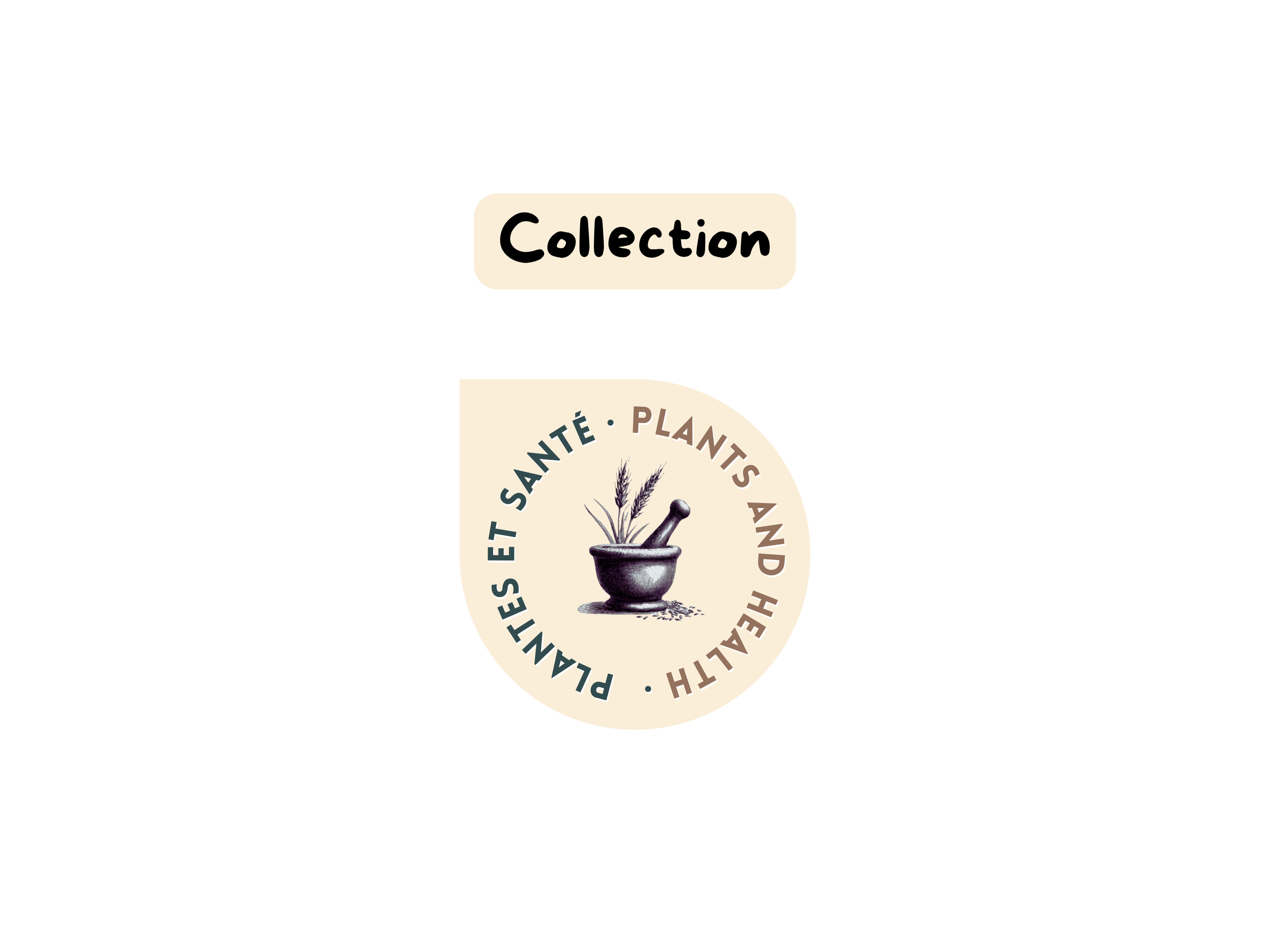 la pépite obtenue (9).png