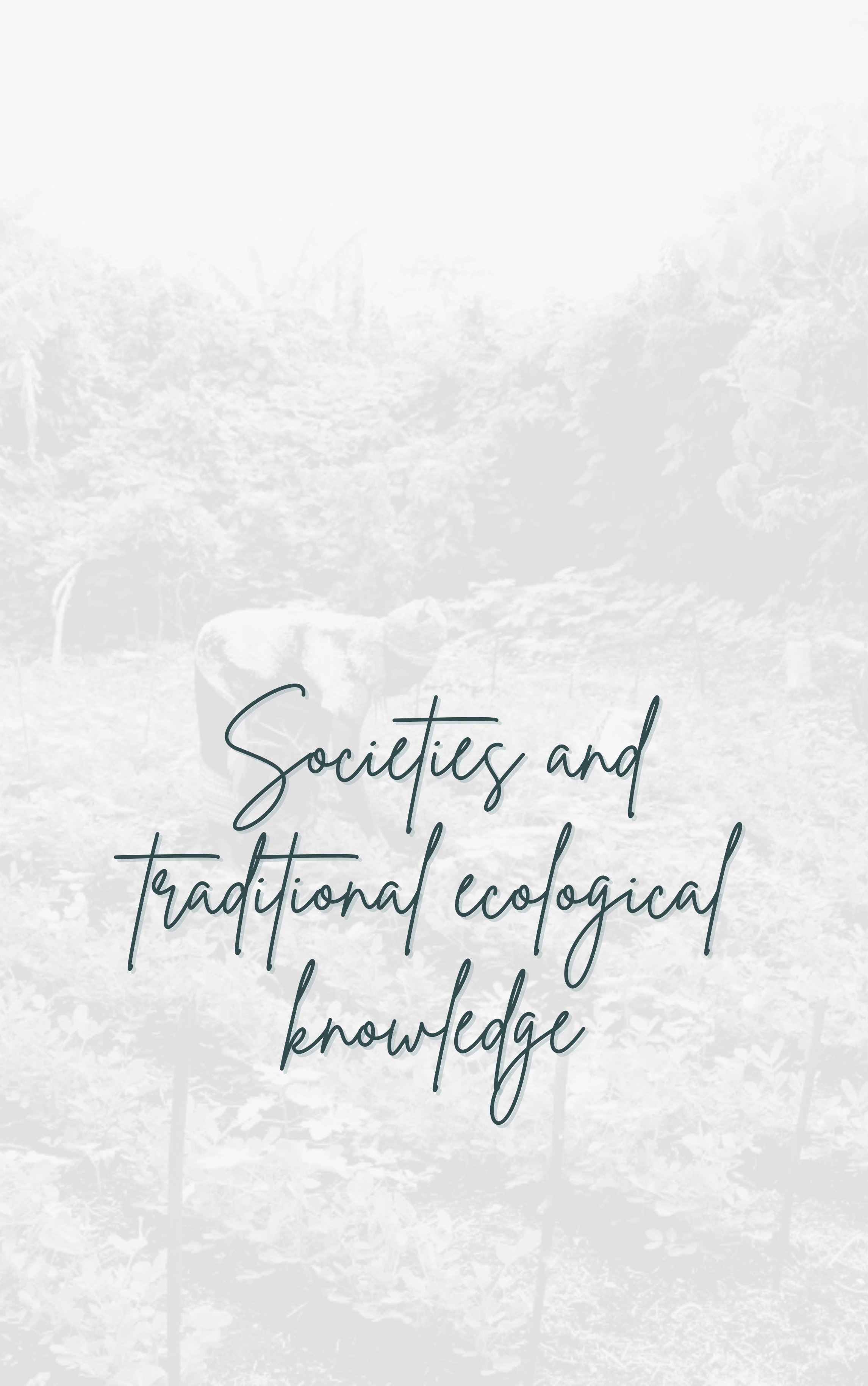 TITRE FRANCAIS (9).jpg