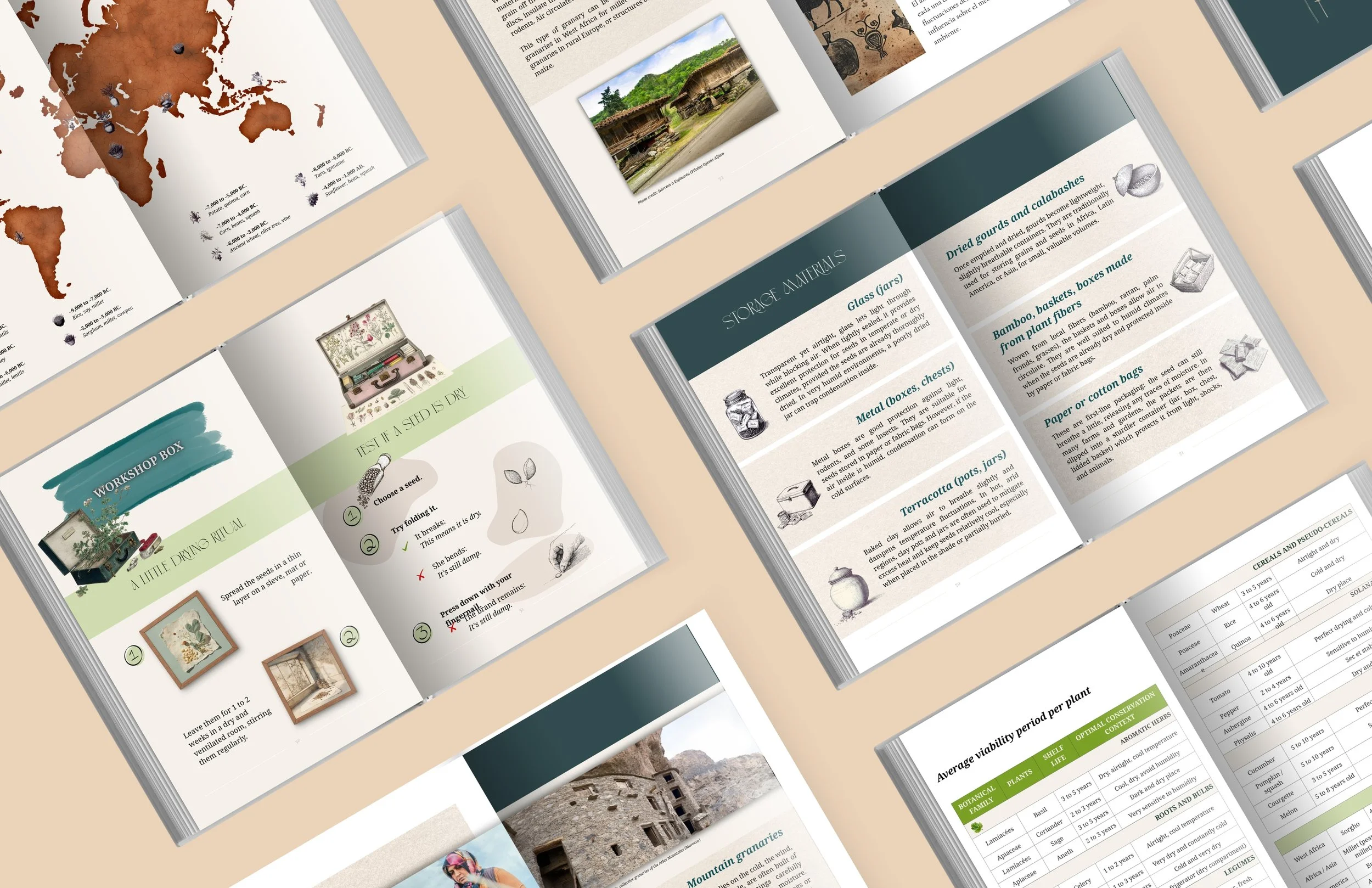 1.NOUVEAU  vrai EN ibetan garden AMZ (11).jpg