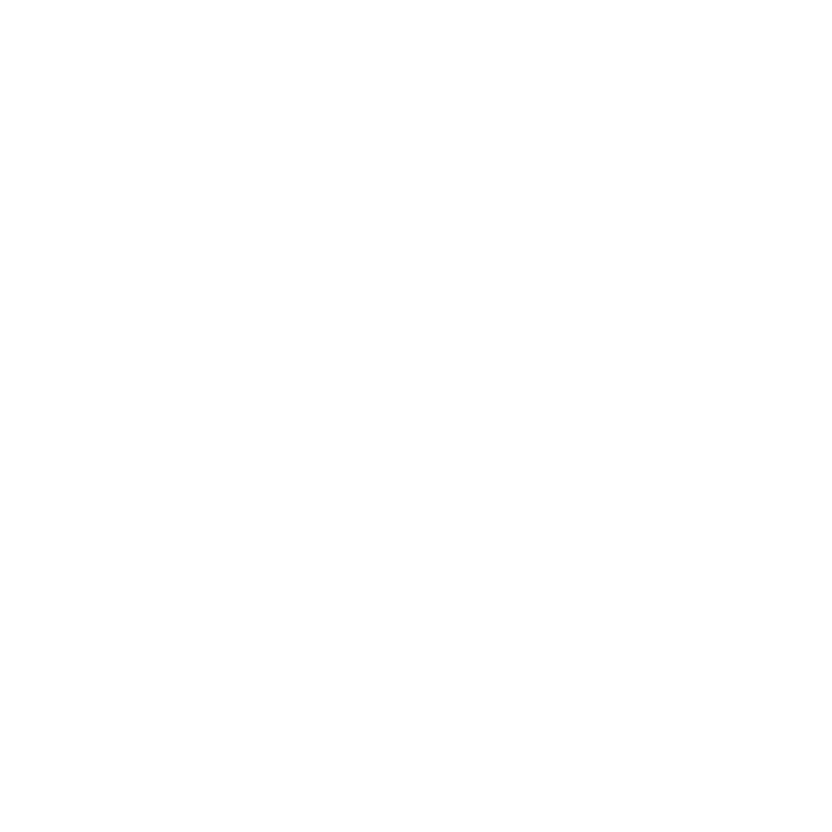 white VF logo.png