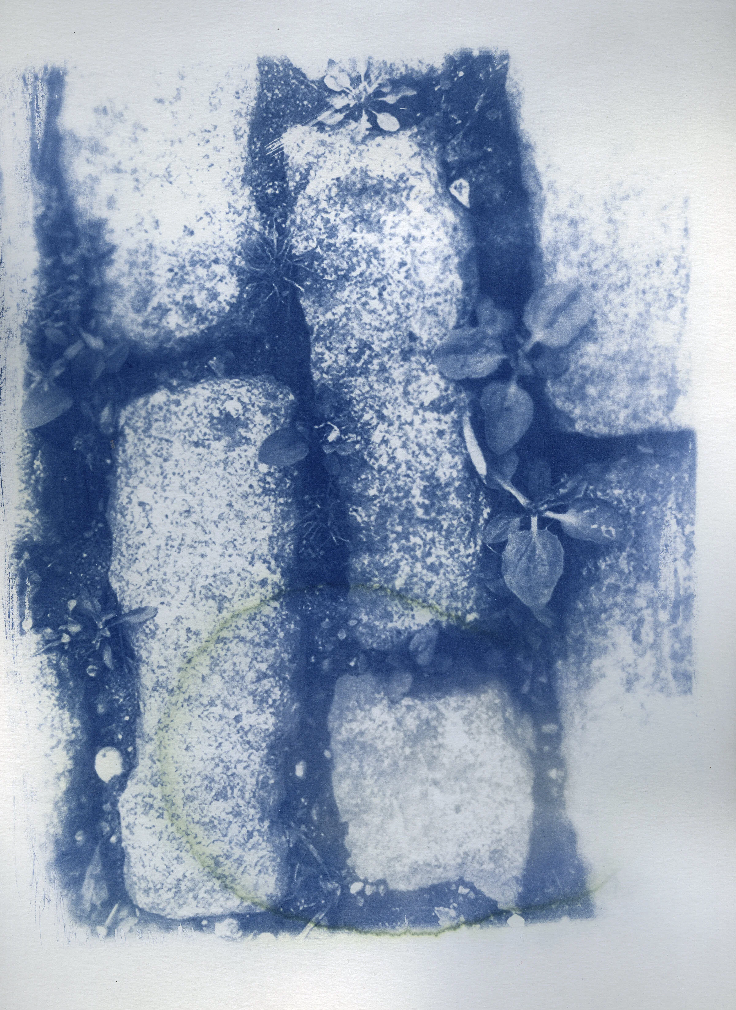 plants in bricks .jpg