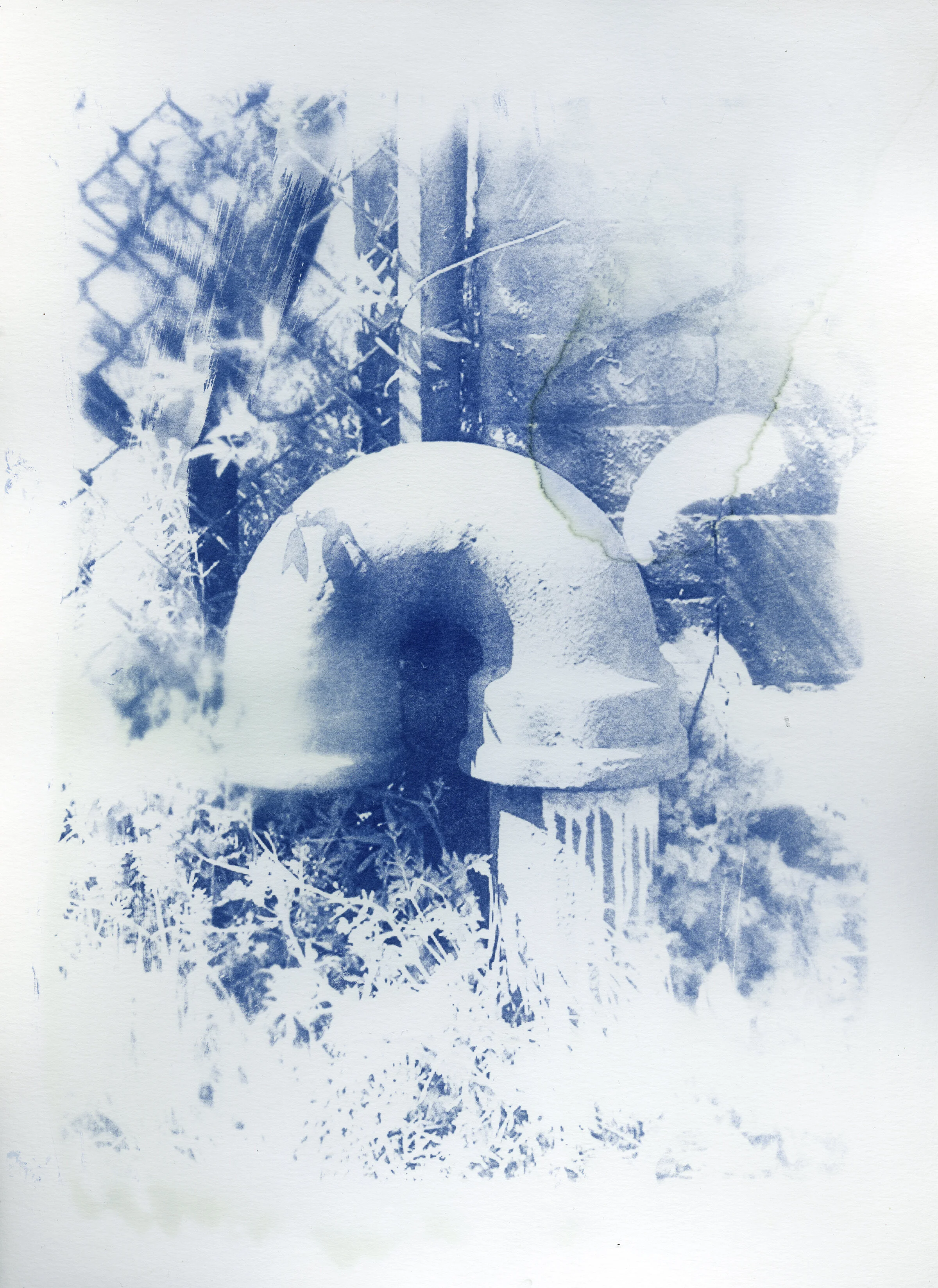 Cyanotypes