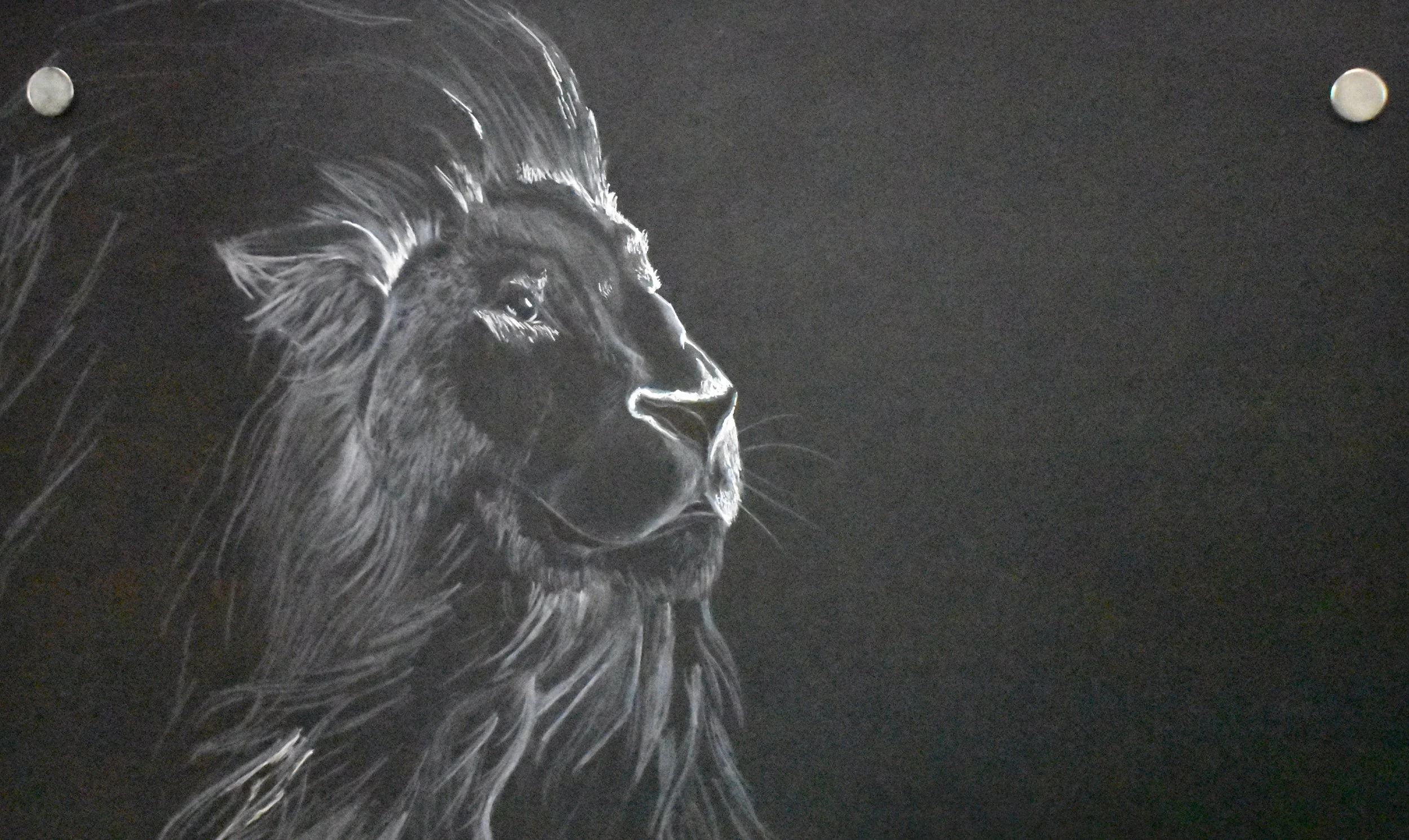 Shayla Cook, 11th Grade, Lion, Charcoal