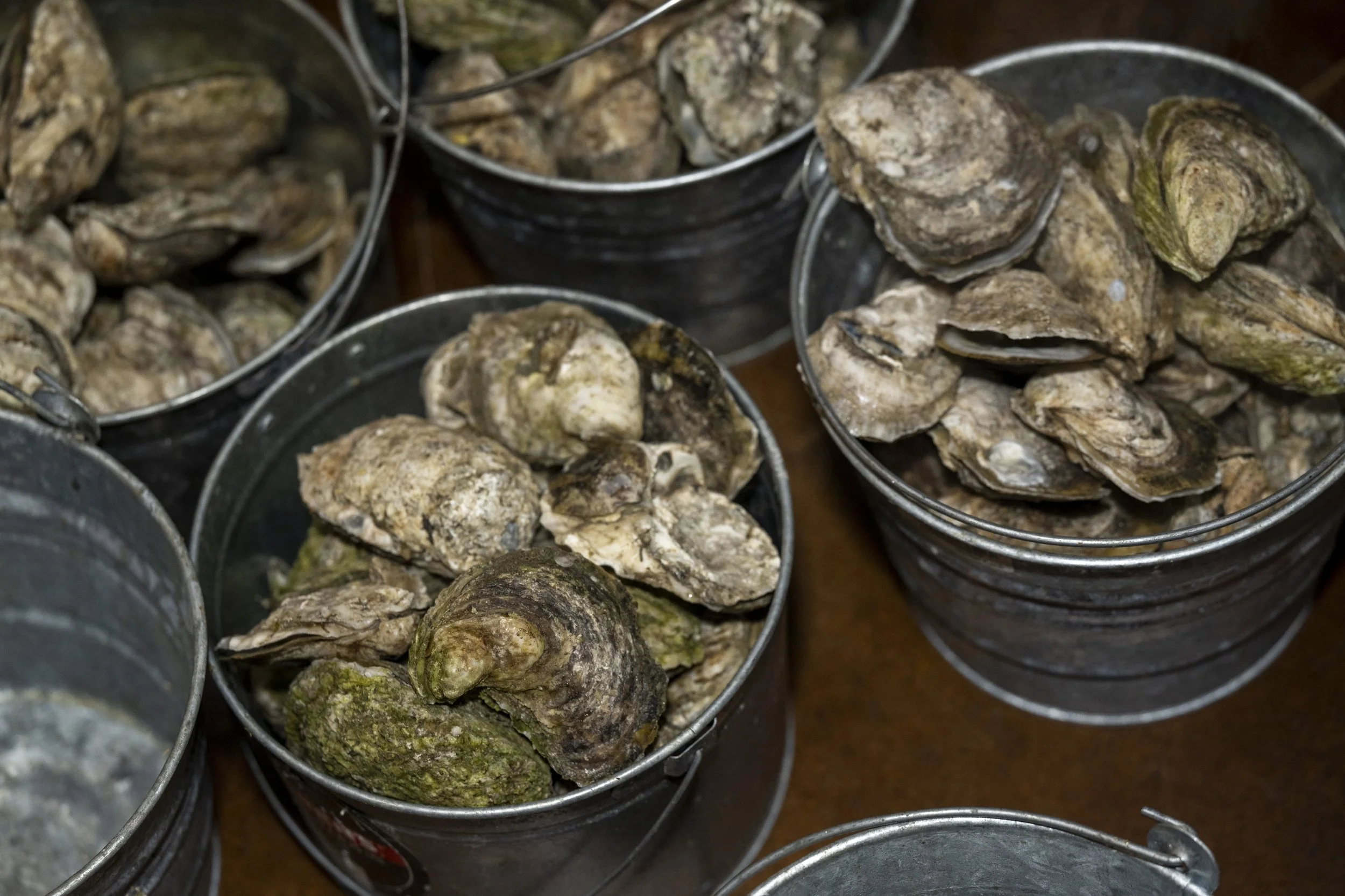 160 - Oyster Roast - Jan. 2026.jpg