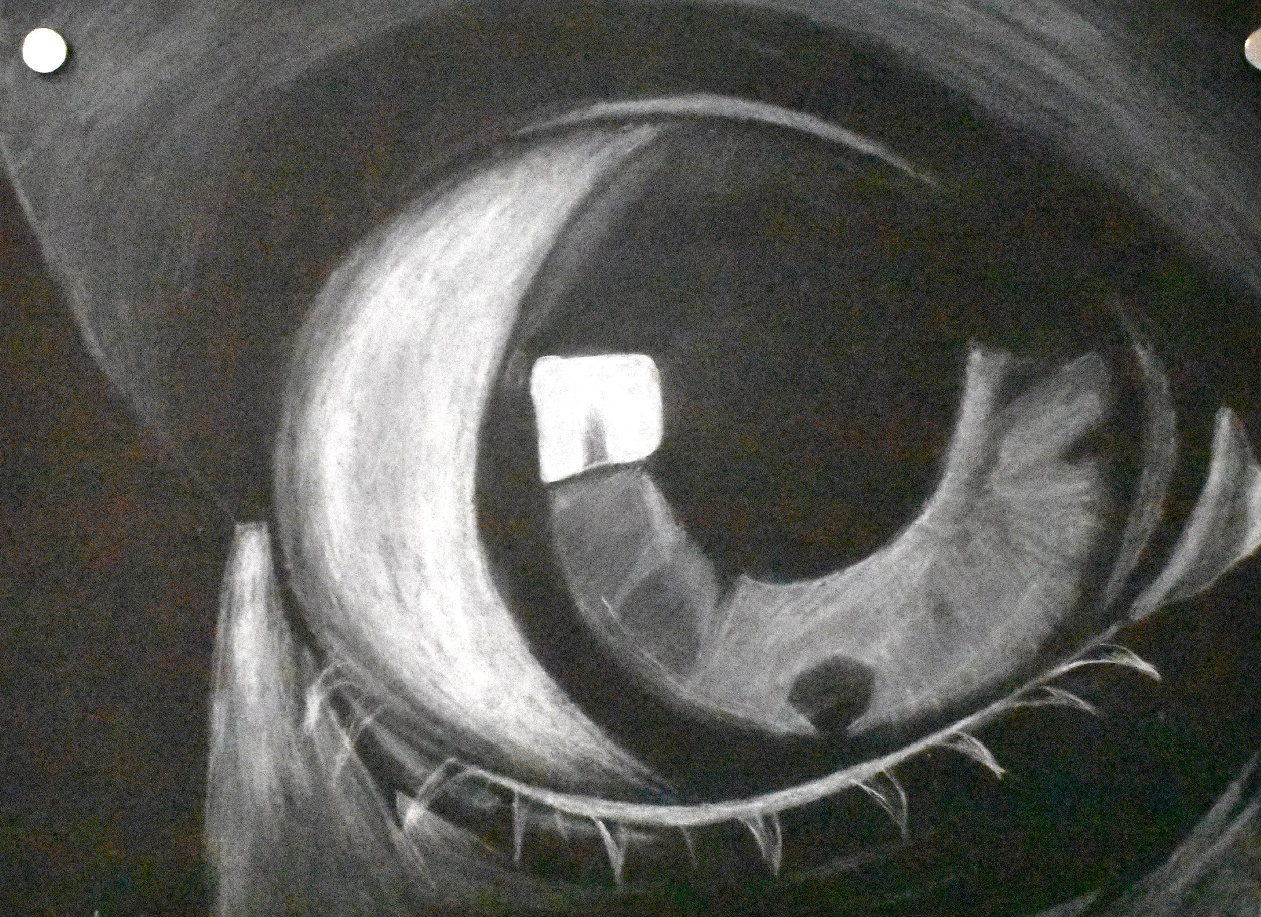 Lia Anariba Rivera, 11th Grade, Eye, Charcoal