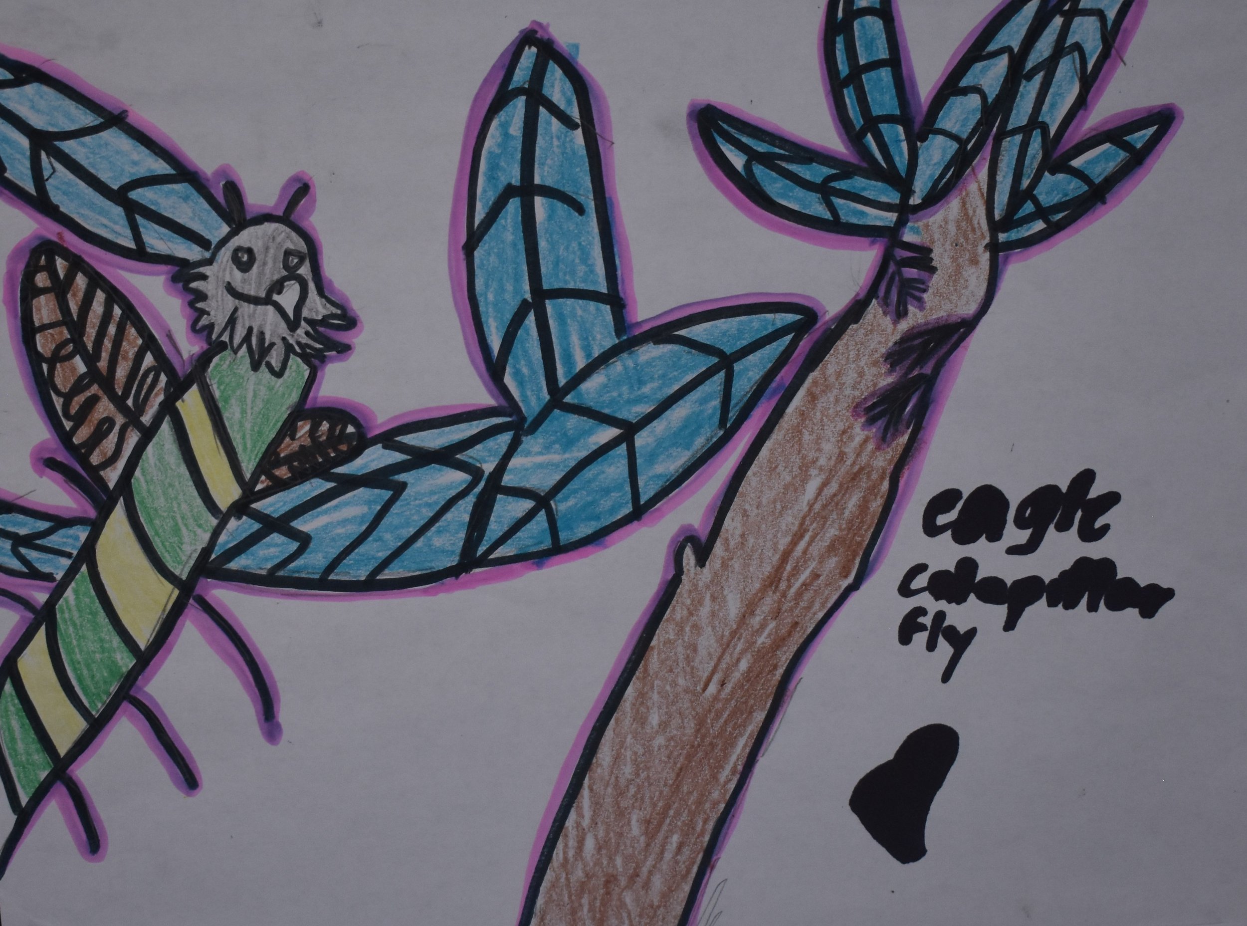 Briceyda Gonzales Grade 3, Knollwood Elementary