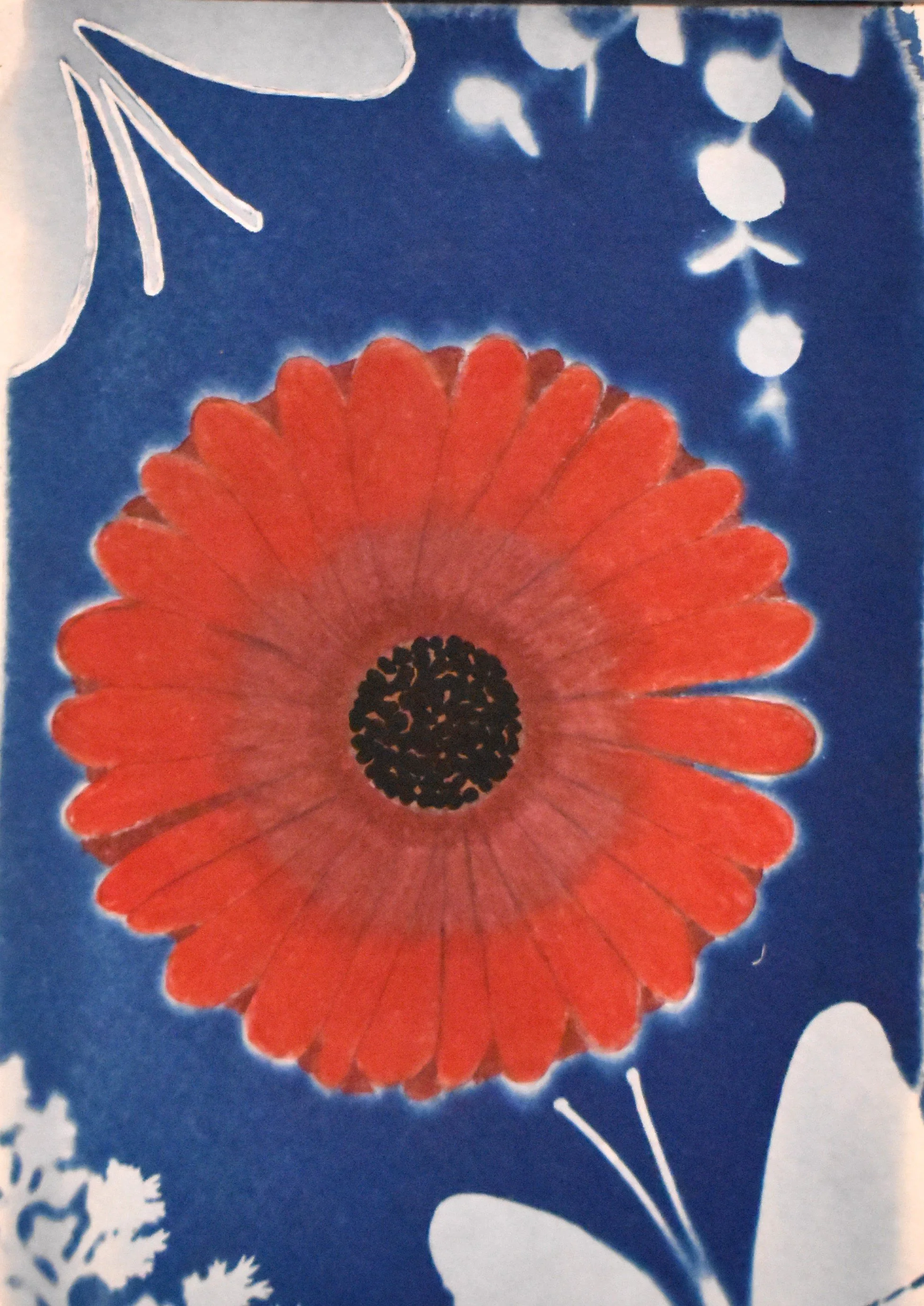 Layla Allman, 10th Grade, Altered Cyanotope, Mixed Media