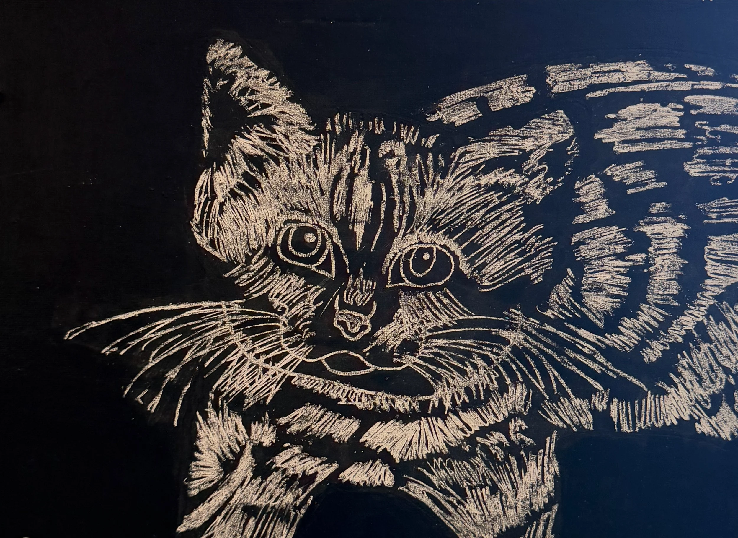 James Angle, 8th, Sand Cat, Scratchboard