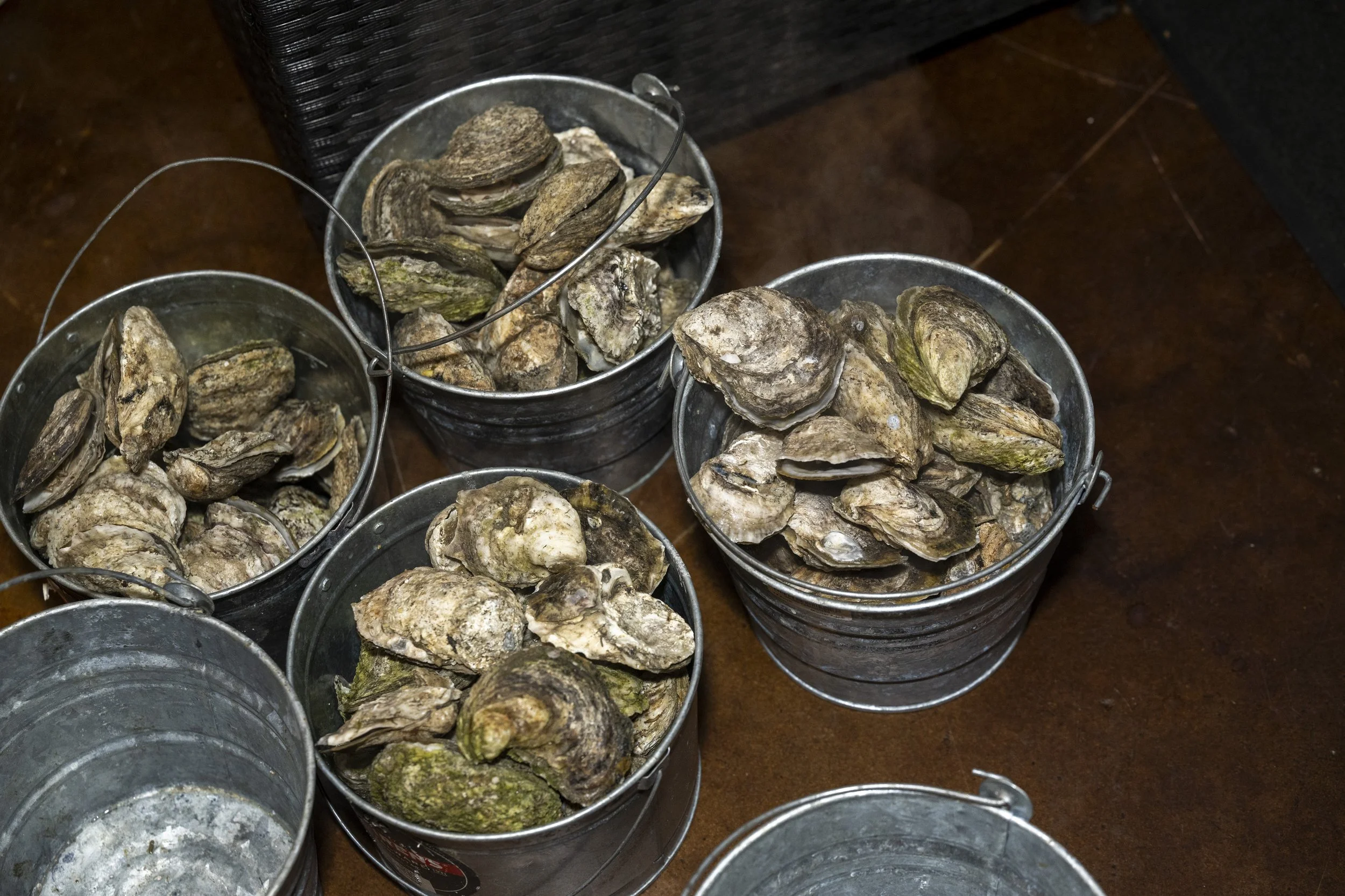 159 - Oyster Roast - Jan. 2026.jpg
