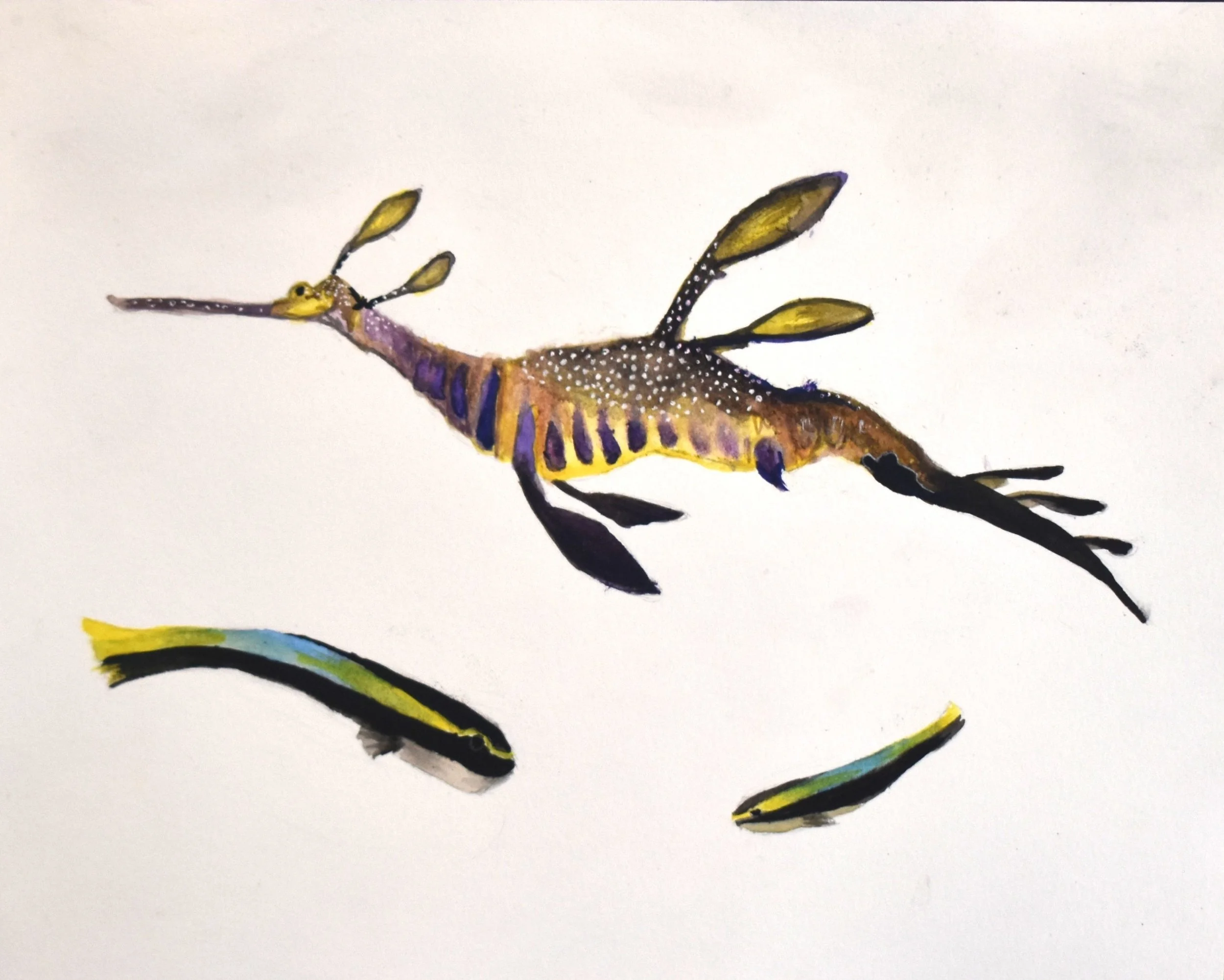 Caelyn Christy - Untitled, 8th Grade, Watercolor