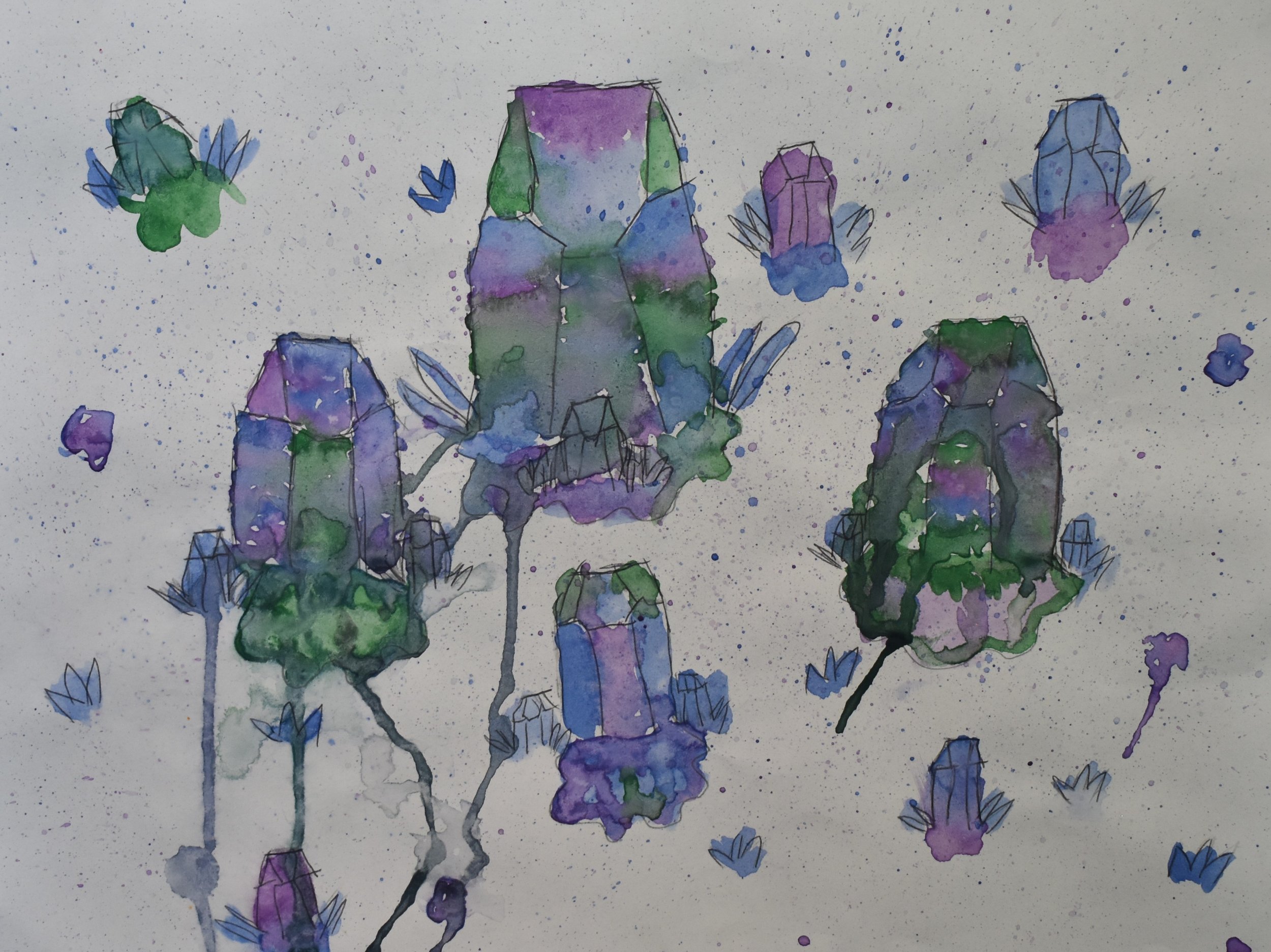 Nova Harrington Grade 5, Landis Elementary