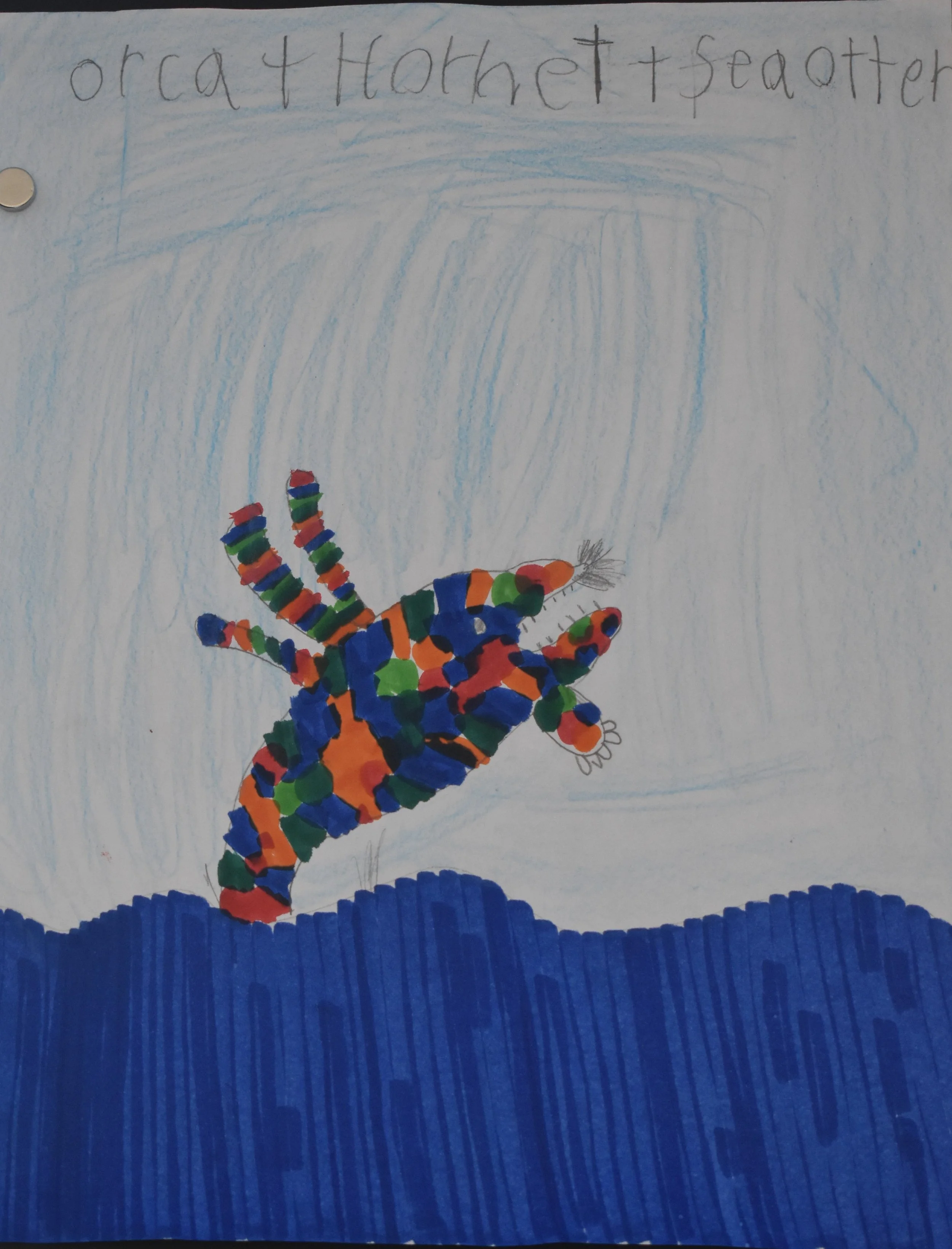 Catherine Darrawich Grade 3, Knollwood Elementary