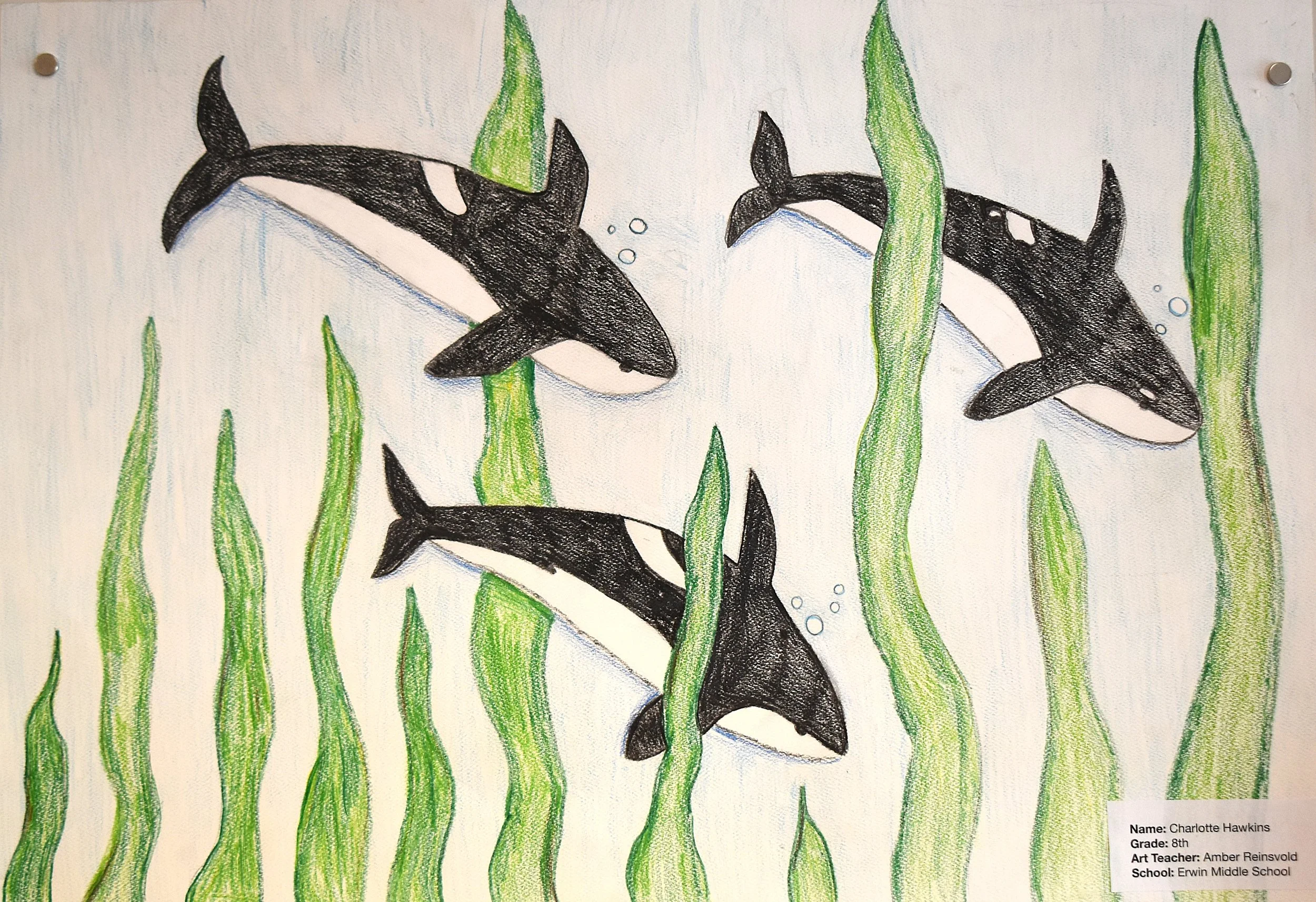 Charlotte Hawkins- 8th Grade, Colored Pencil